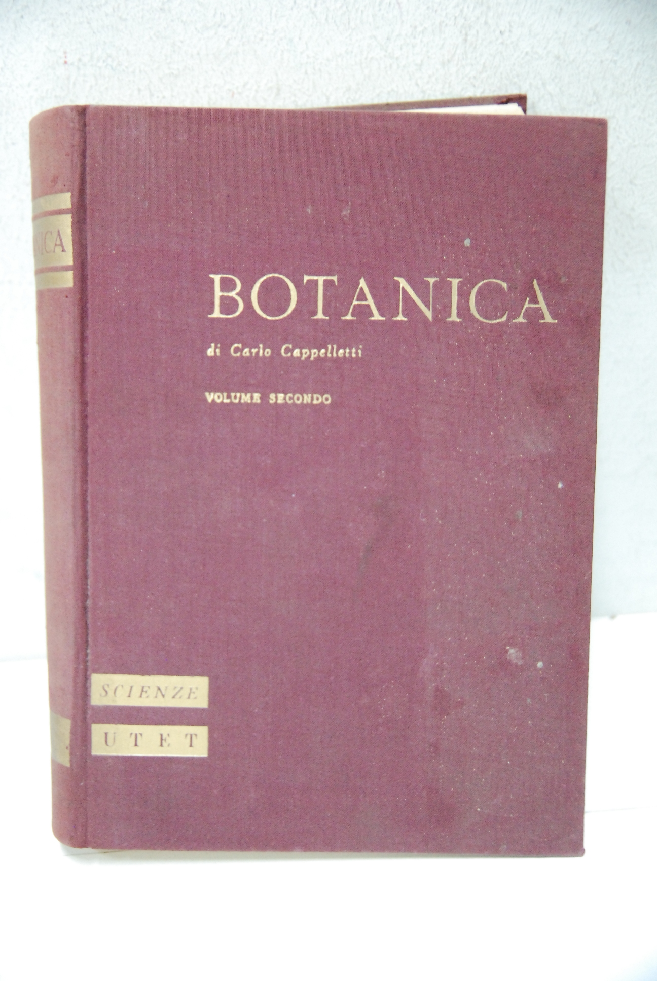 Botanica sistematica solo vol. 2