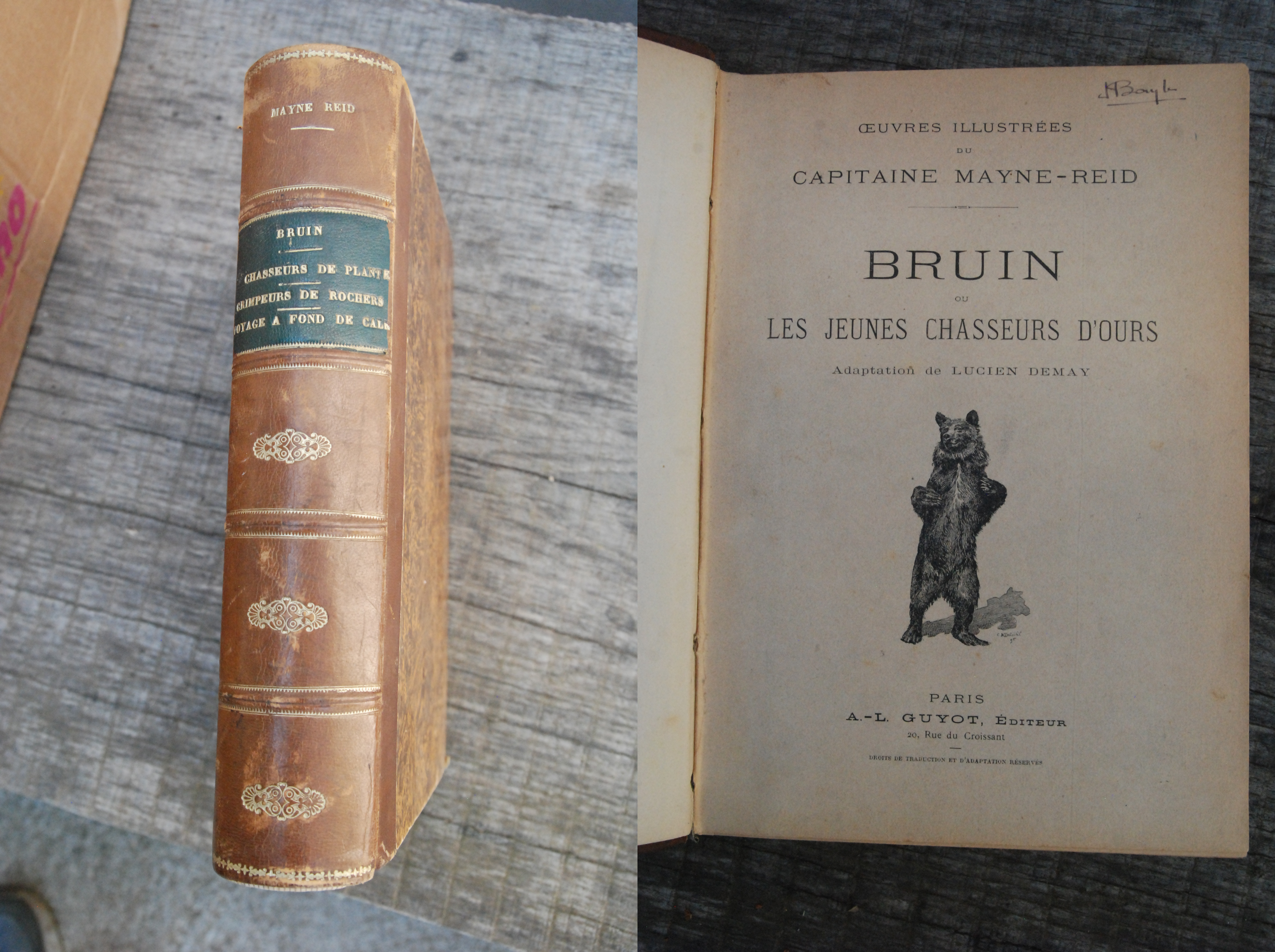 bruin les jeunes chasseurs d'ours NUOVO