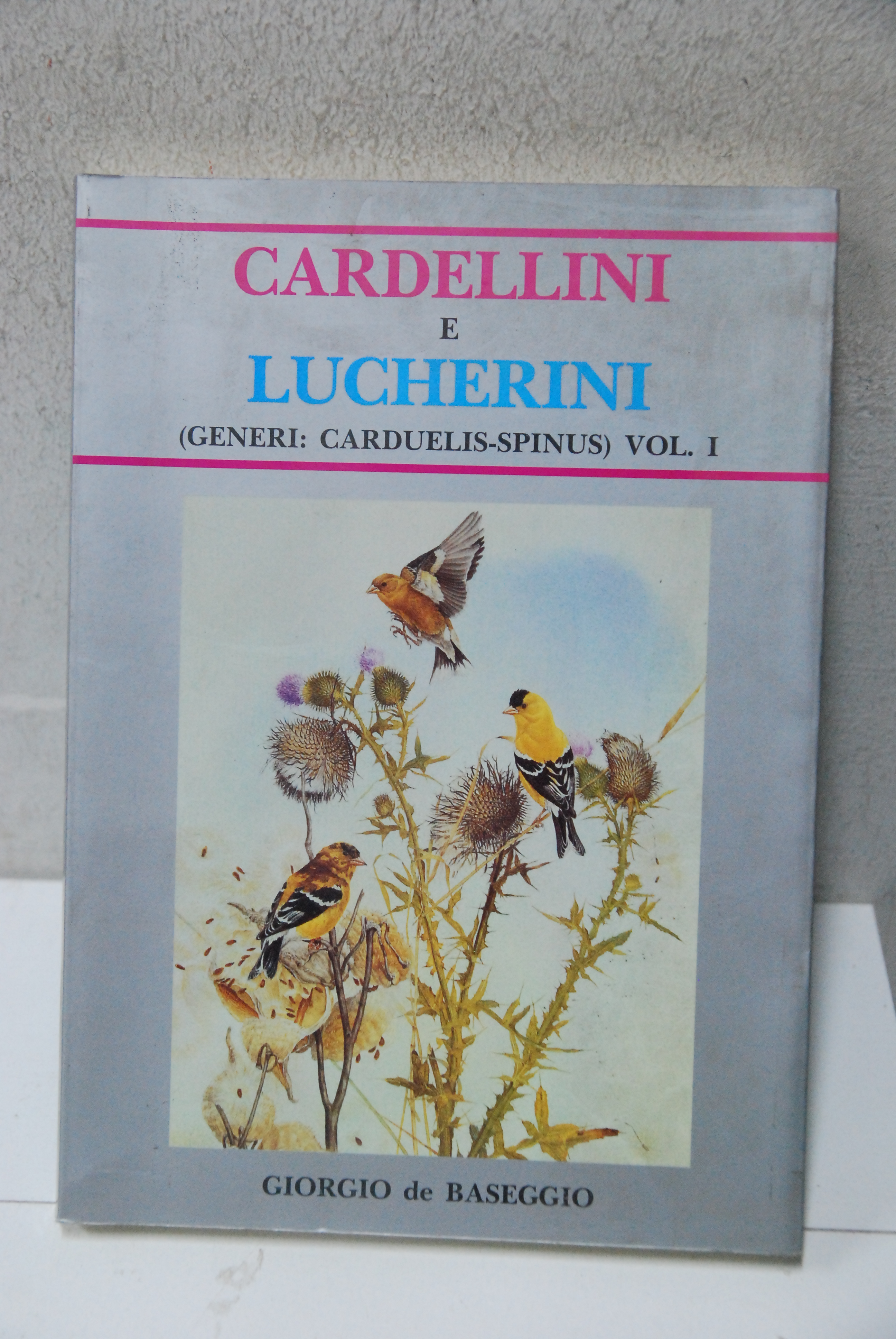 cardellini e lucherini carduelis spinus vol. 1 NUOVO