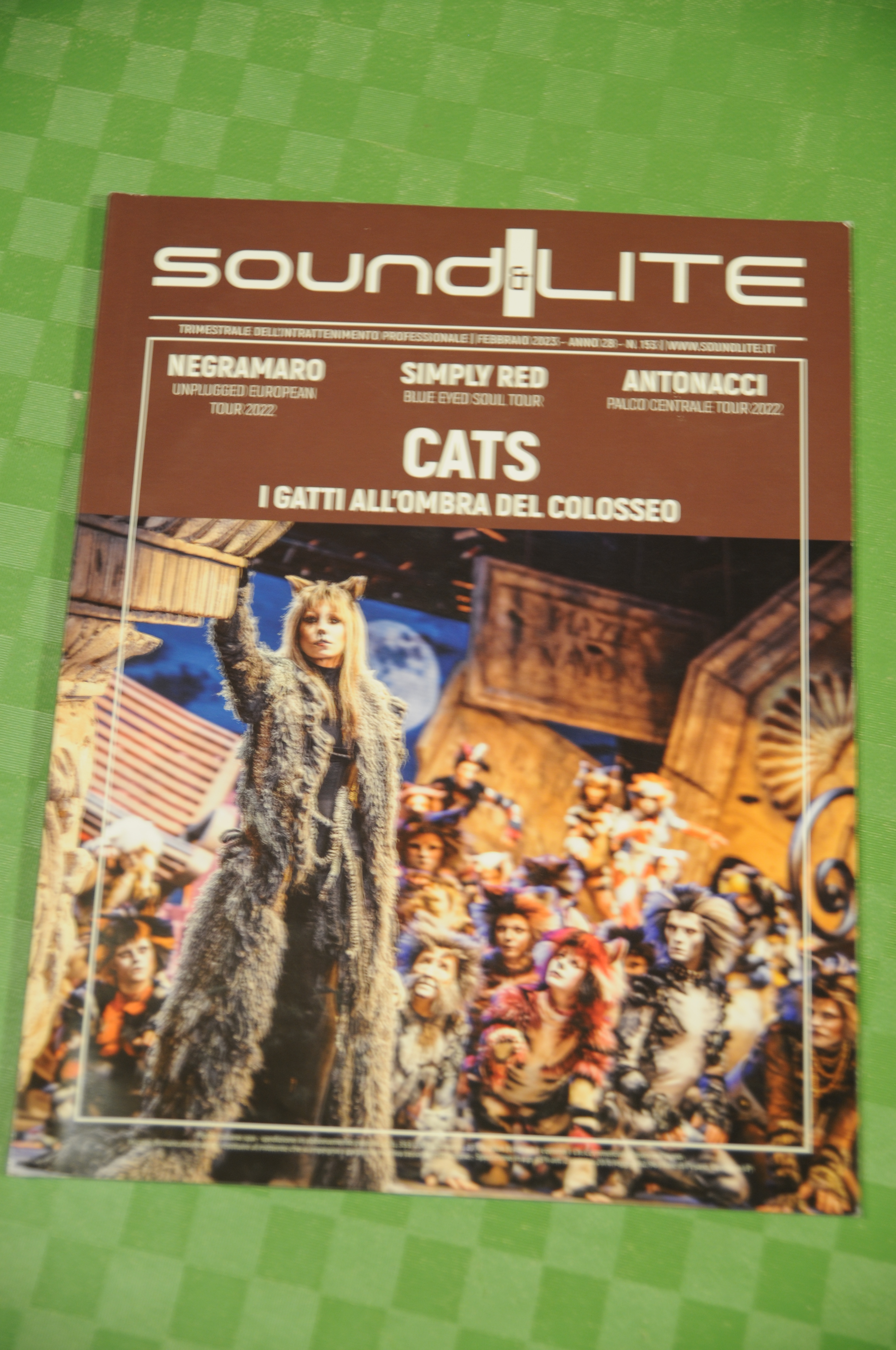 CATS I GATTI all'ombra del colosseo 2023