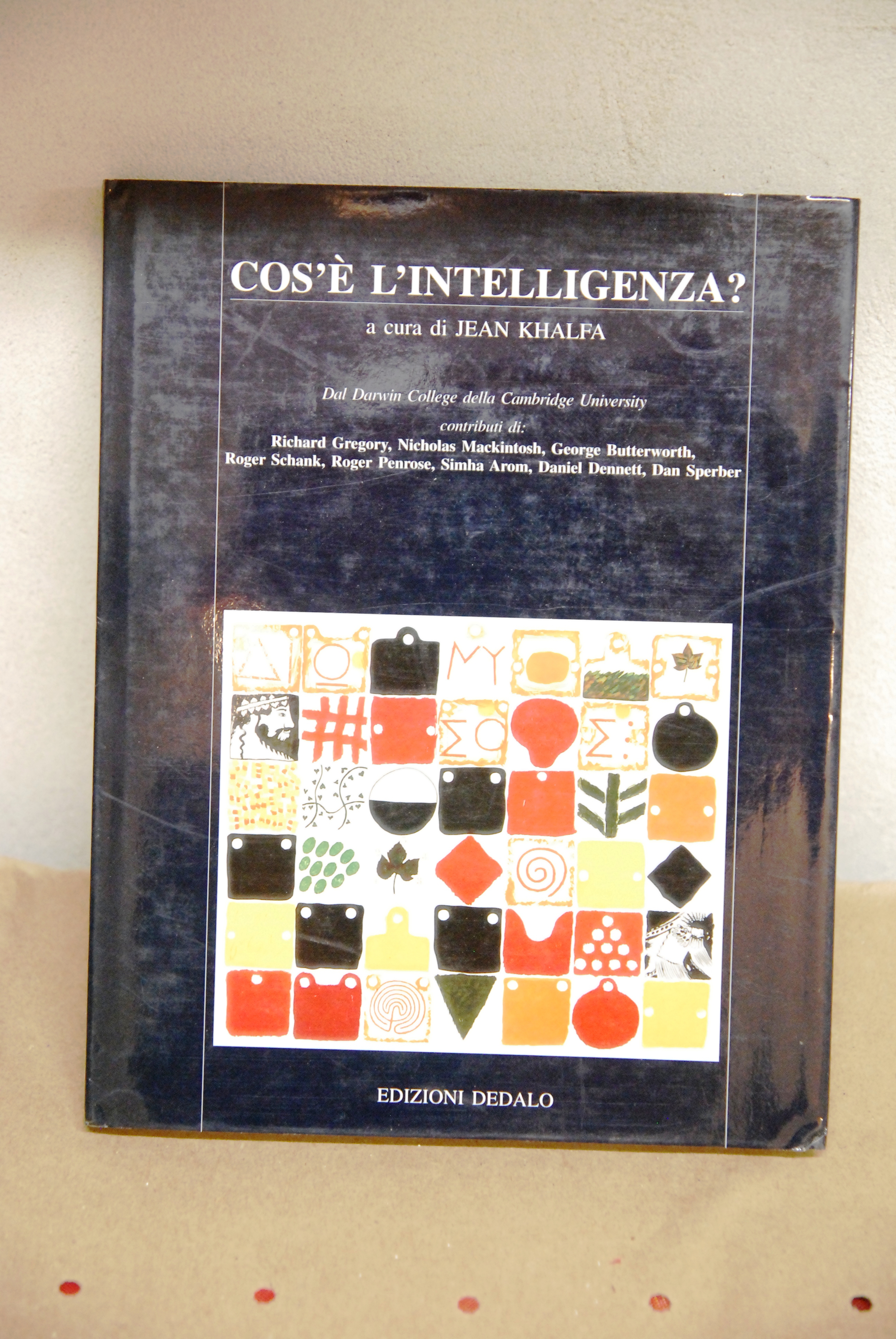 che cos'è cos'e' intelligenza NUOVO