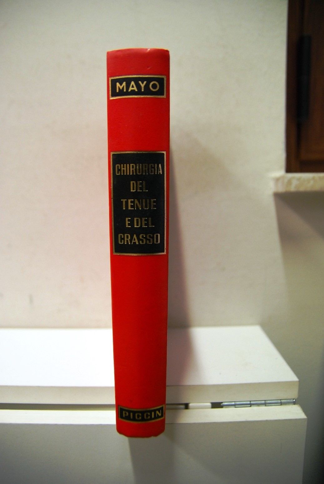 Chirurgia del tenue e del crasso