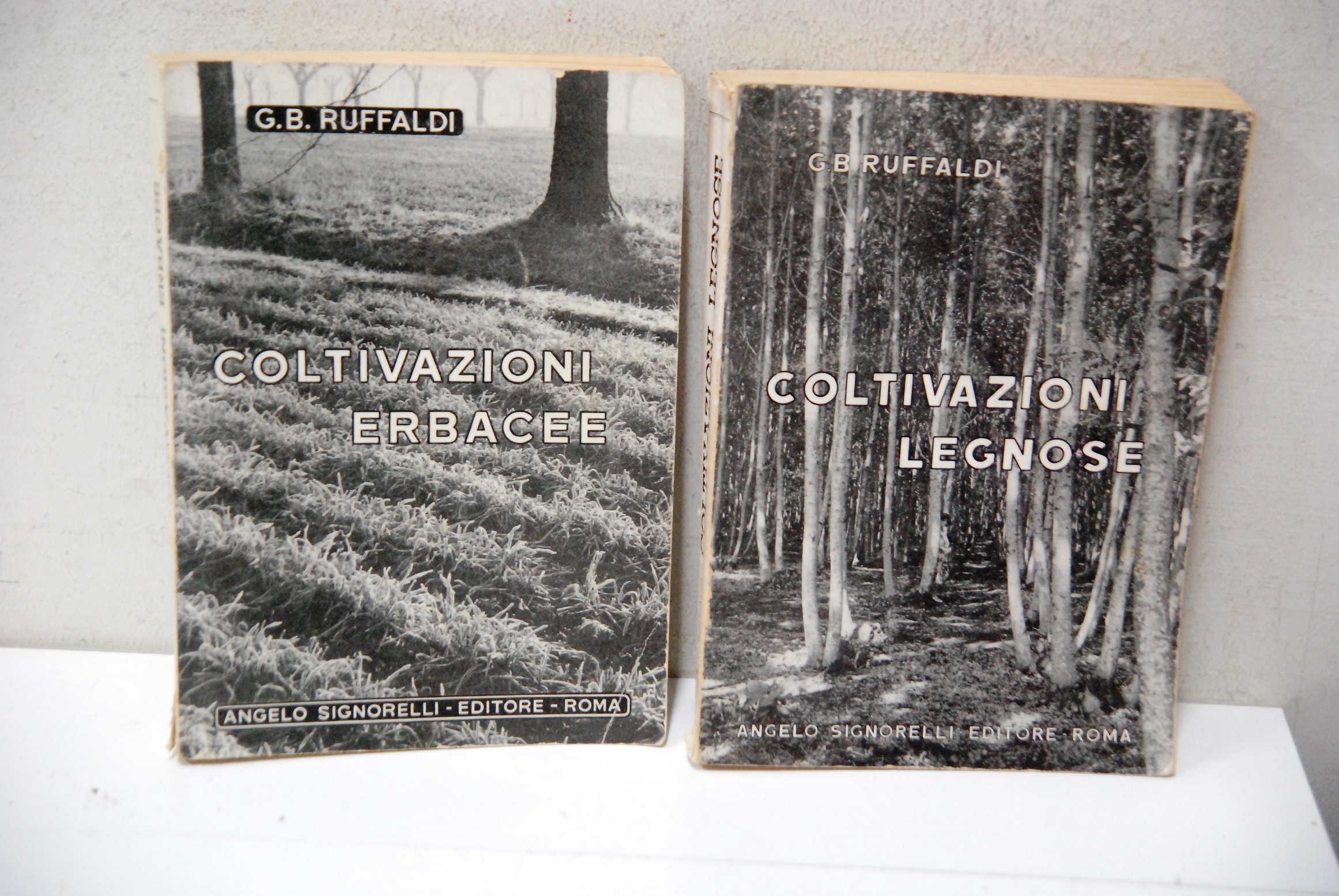 coltivazioni erbacee legnose 2 voll. cpl.