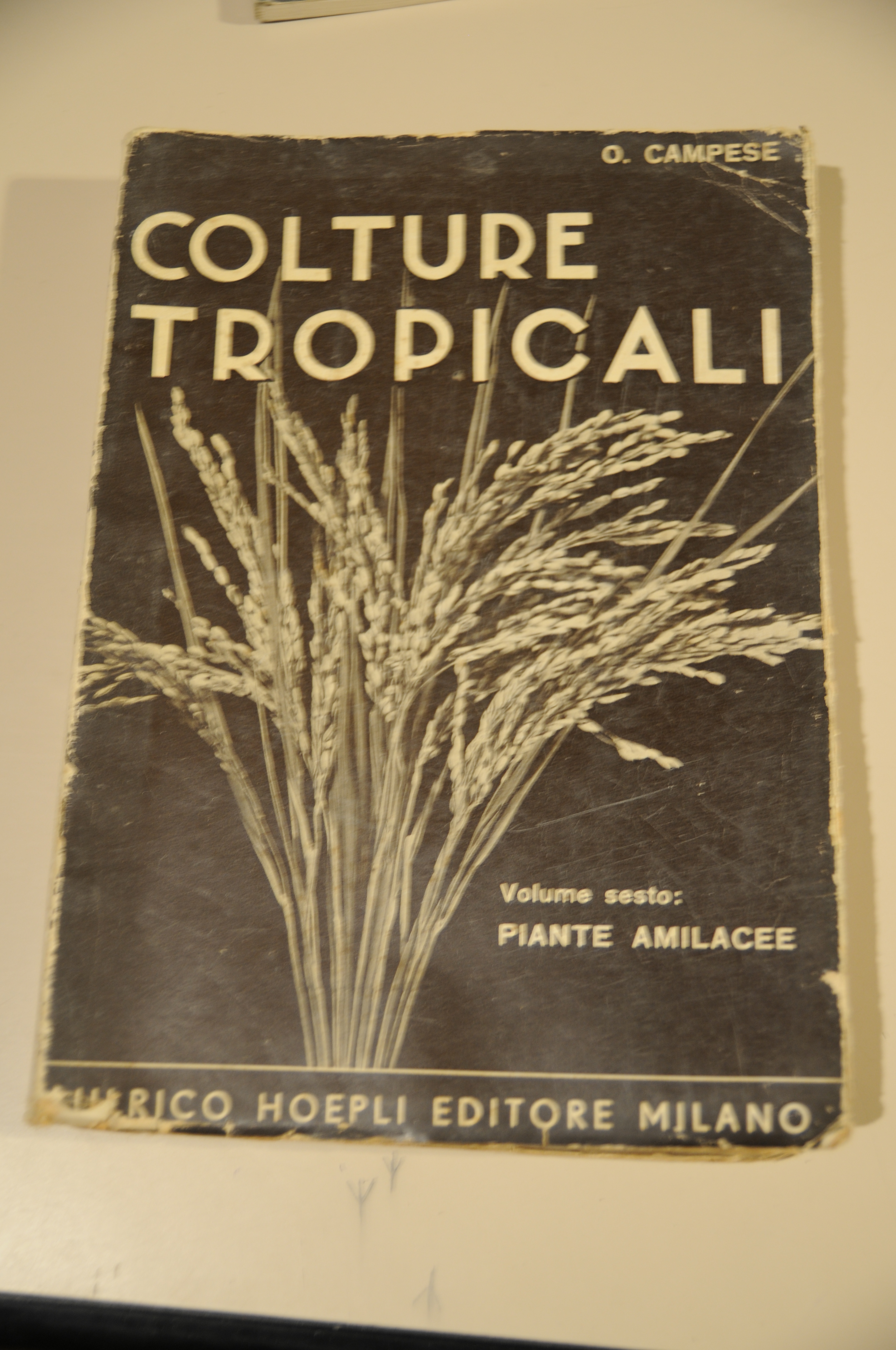 COLTURE TROPICALI VOL. VI PIANTE AMILACEE