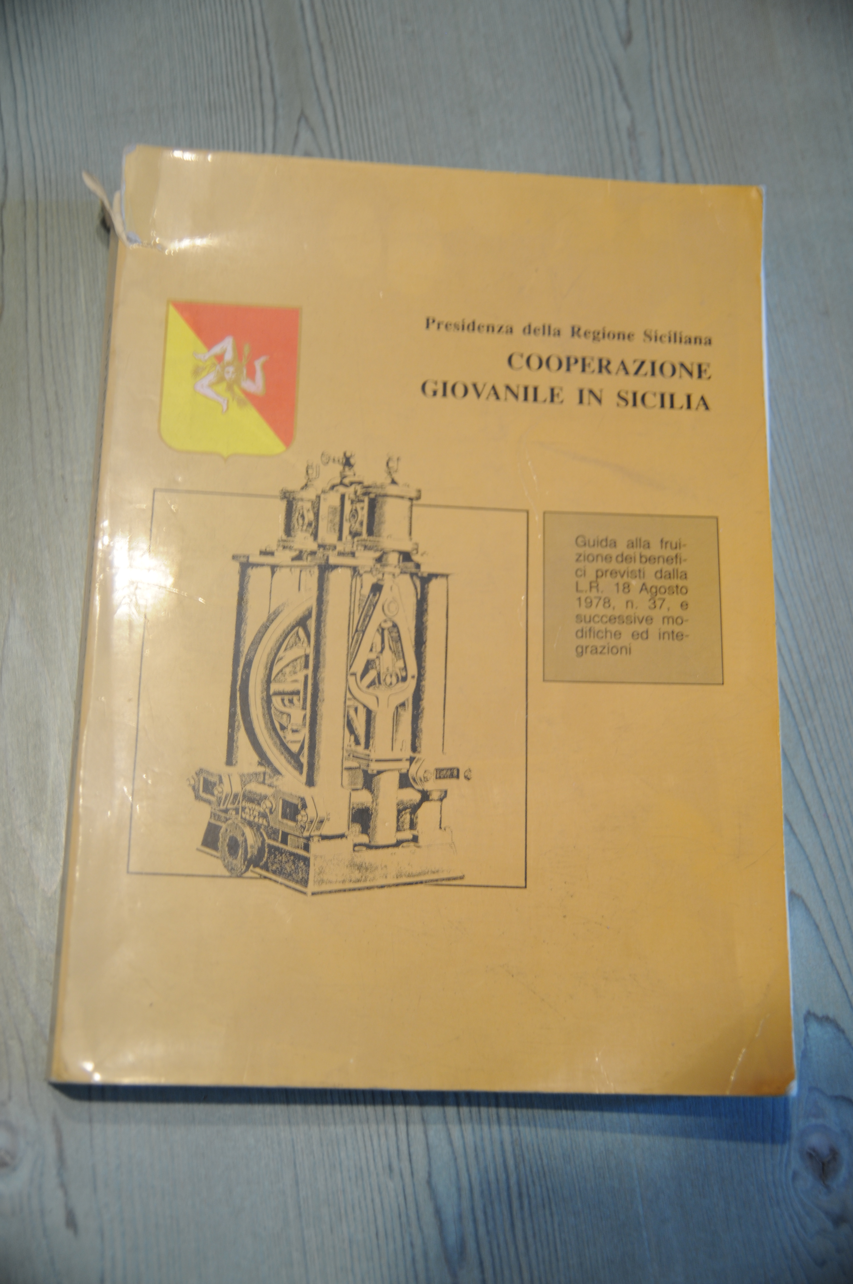 cooperazione giovanile in sicilia