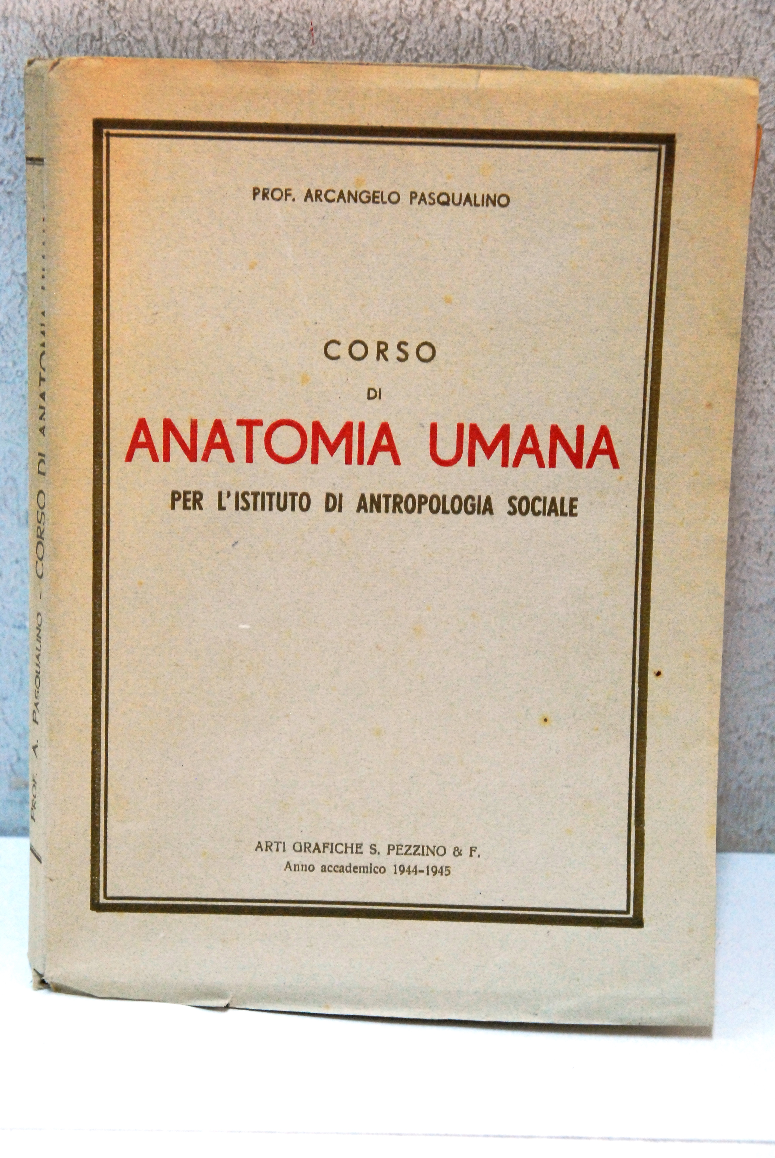 corso di anatomia umana per l'istituto di antropologia sociale