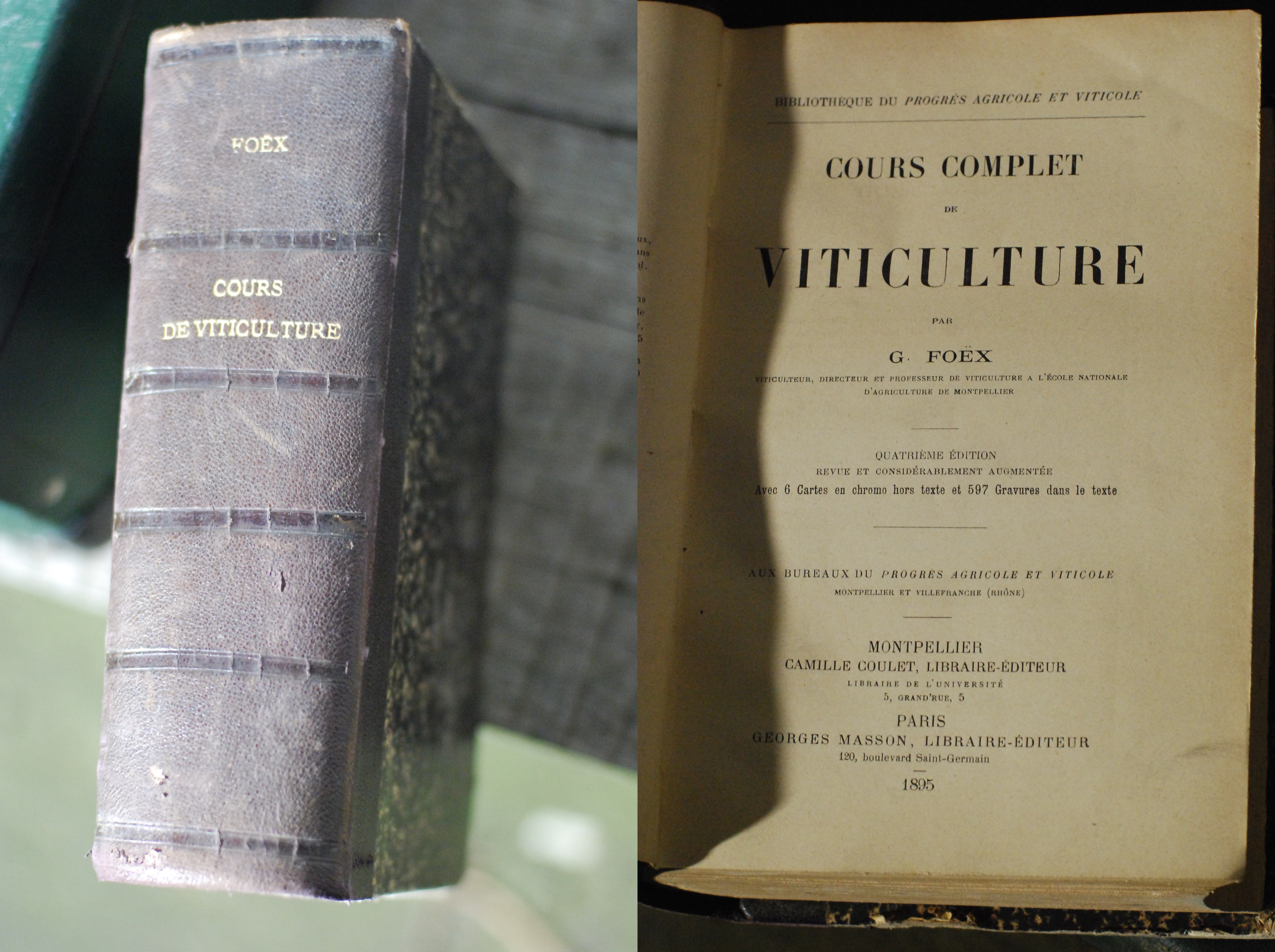 cours complet viticulture