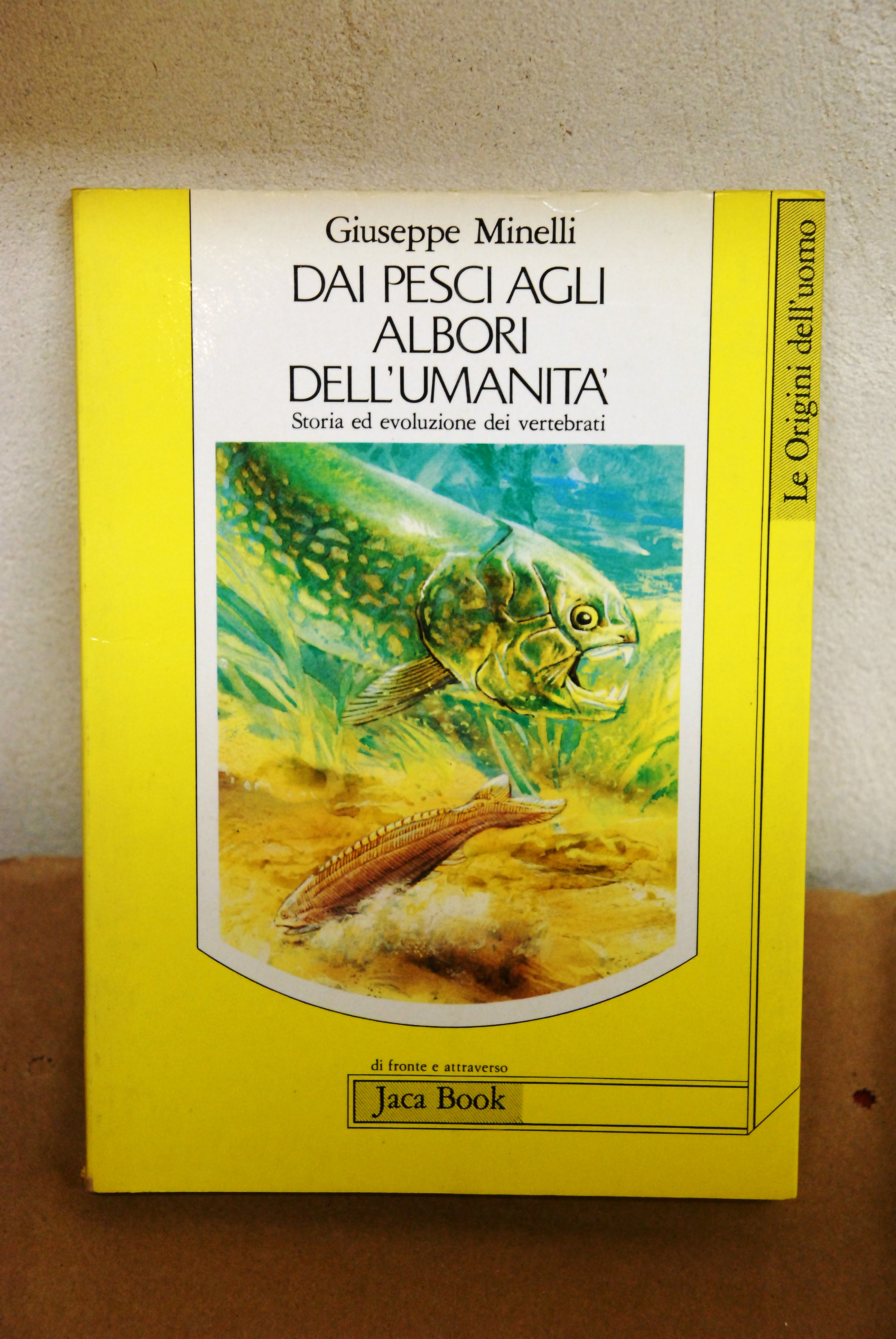 dai pesci agli albori dell'umanità NUOVO