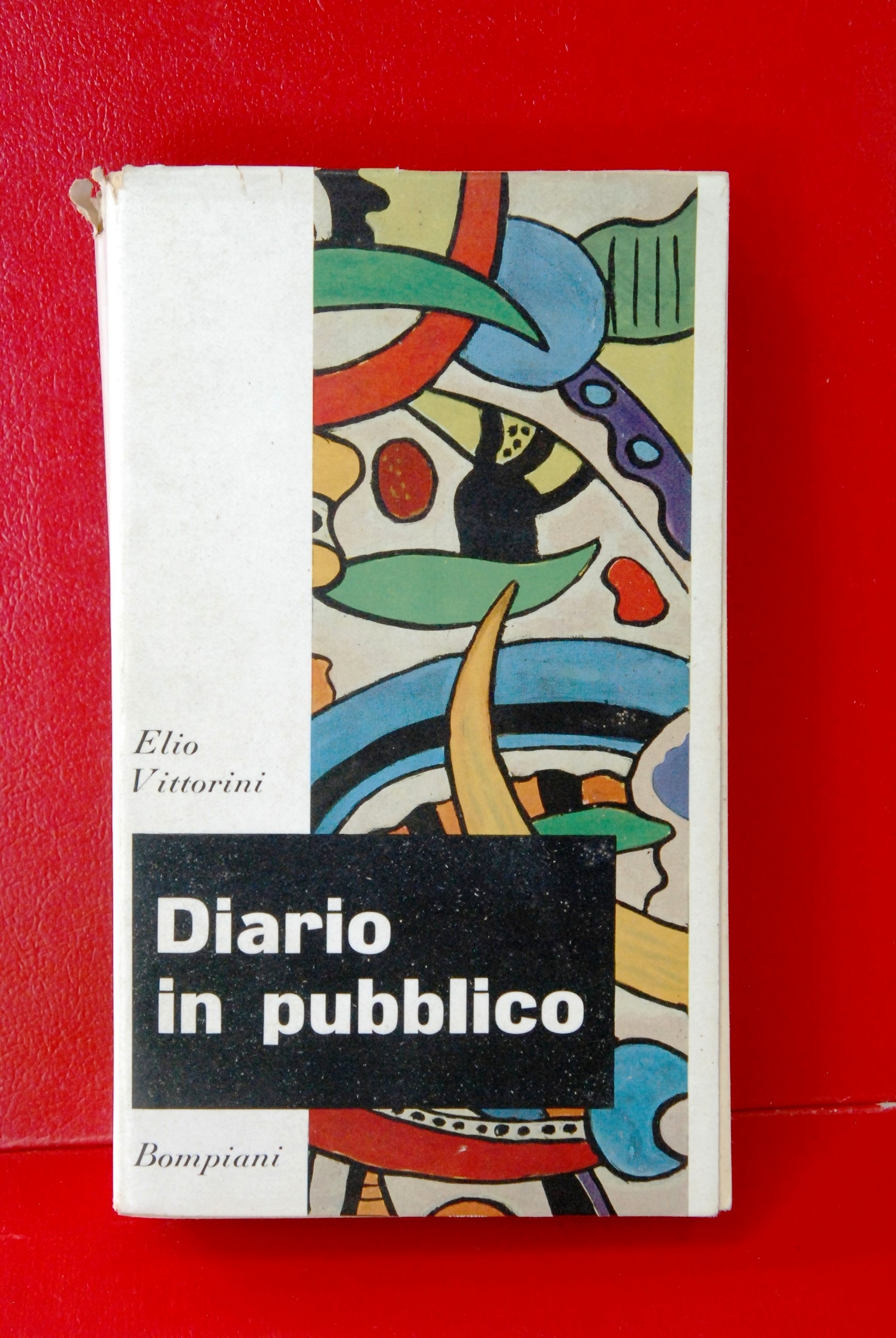 DIARIO IN PUBBLICO NUOVO