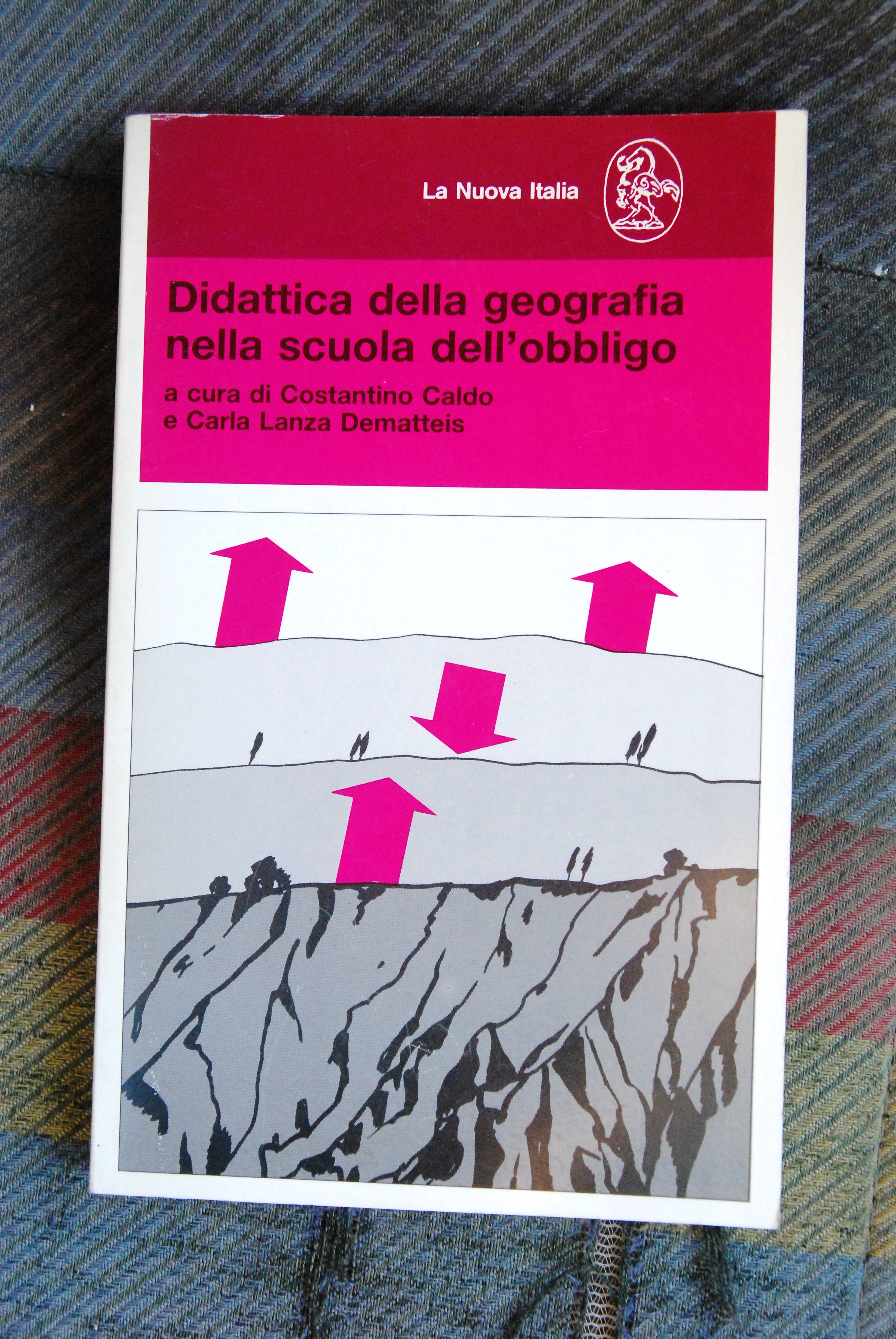didattica della geografia nella scuola dell'obbligo NUOVO