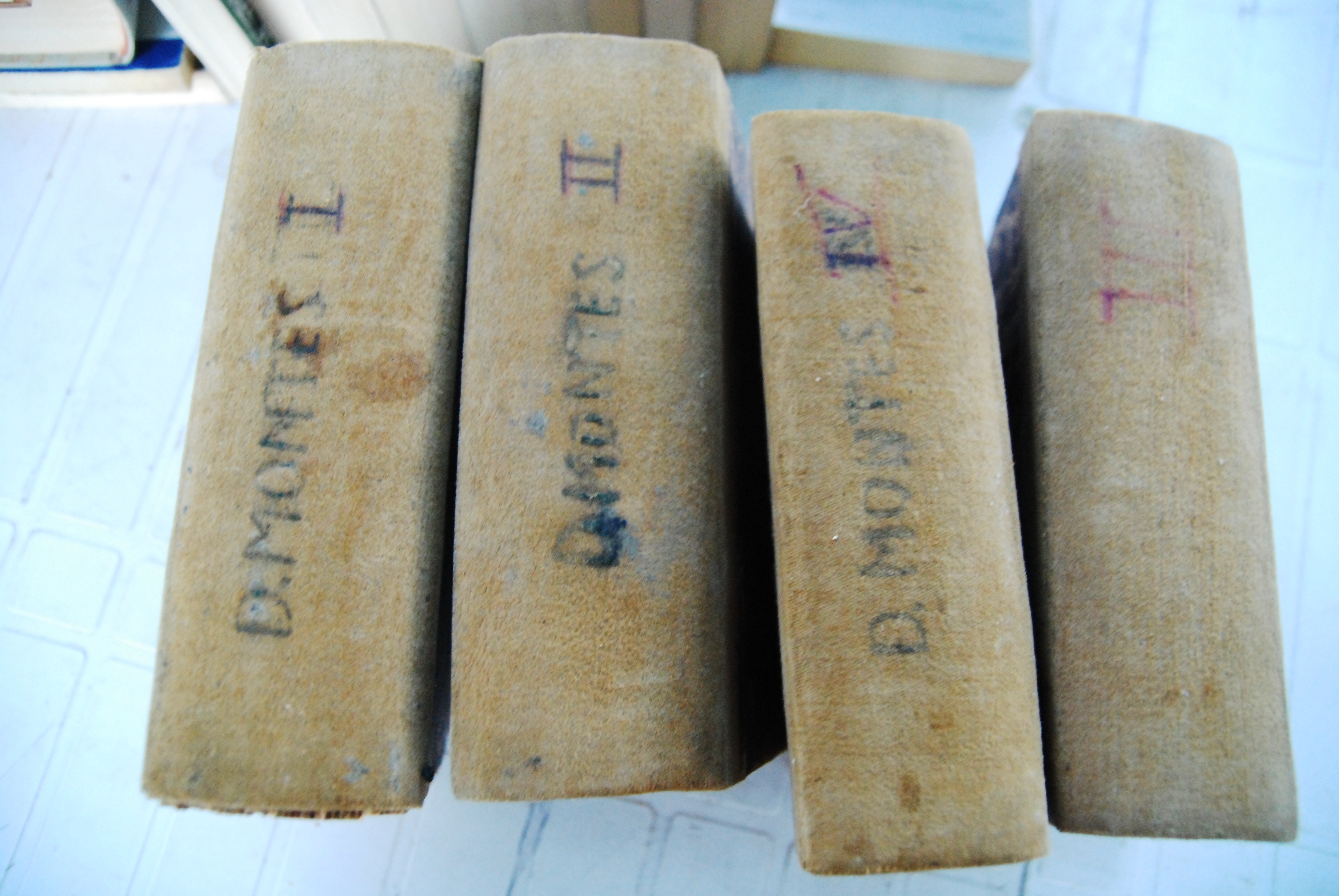 diego montes 6560 pagg (mancano pagg da 13 a 18)