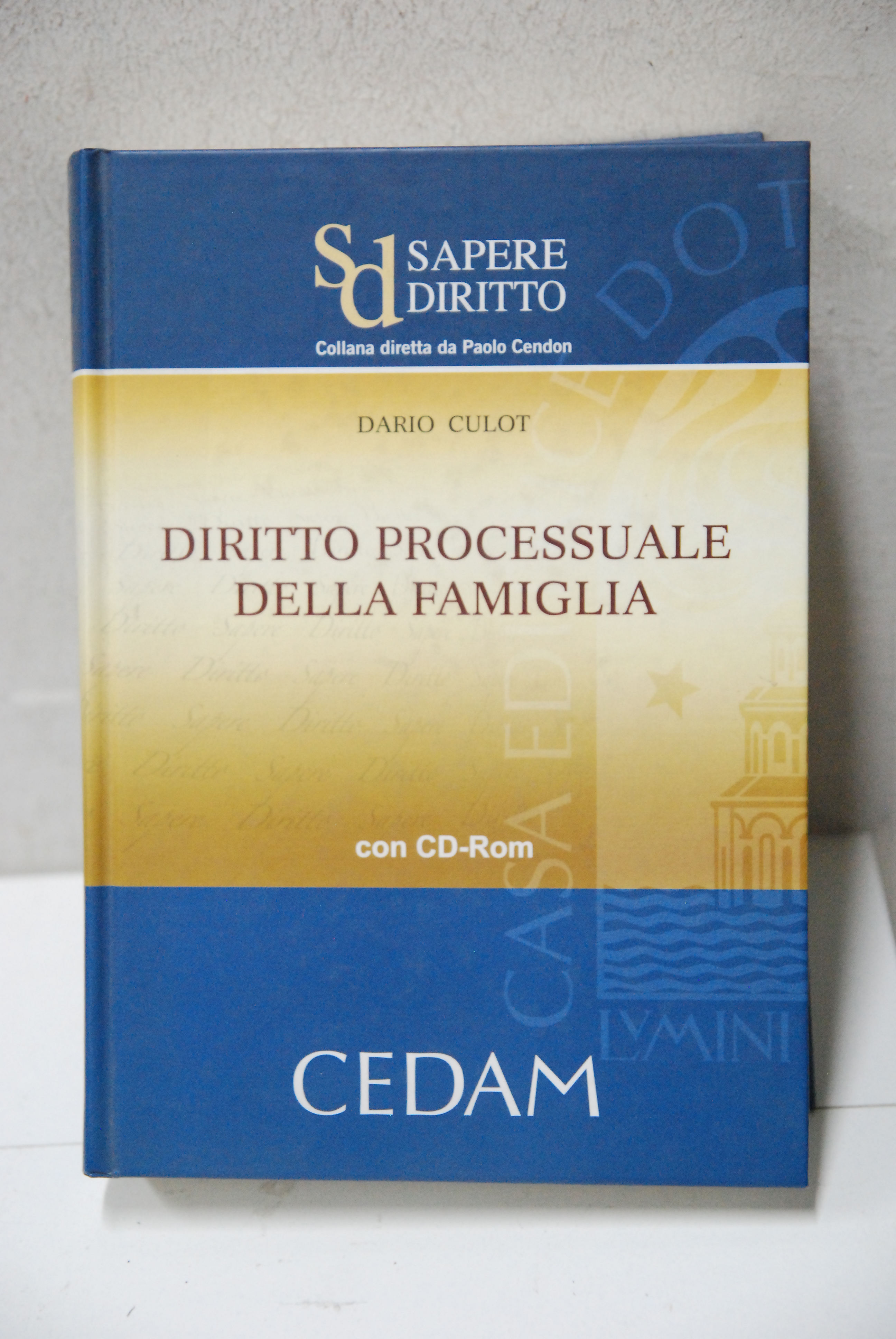 diritto processuale della famiglia nuovo CON CD ROM