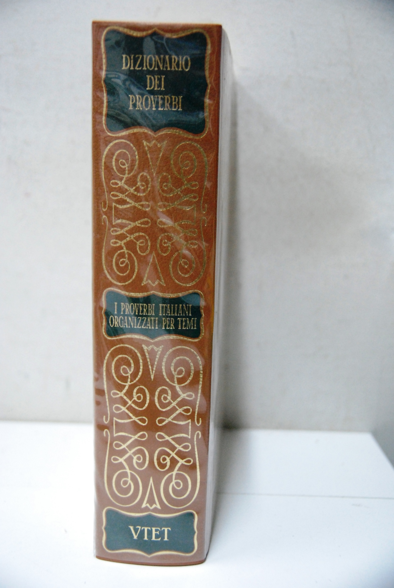 Dizionario dei proverbi italiani organizzati per temi