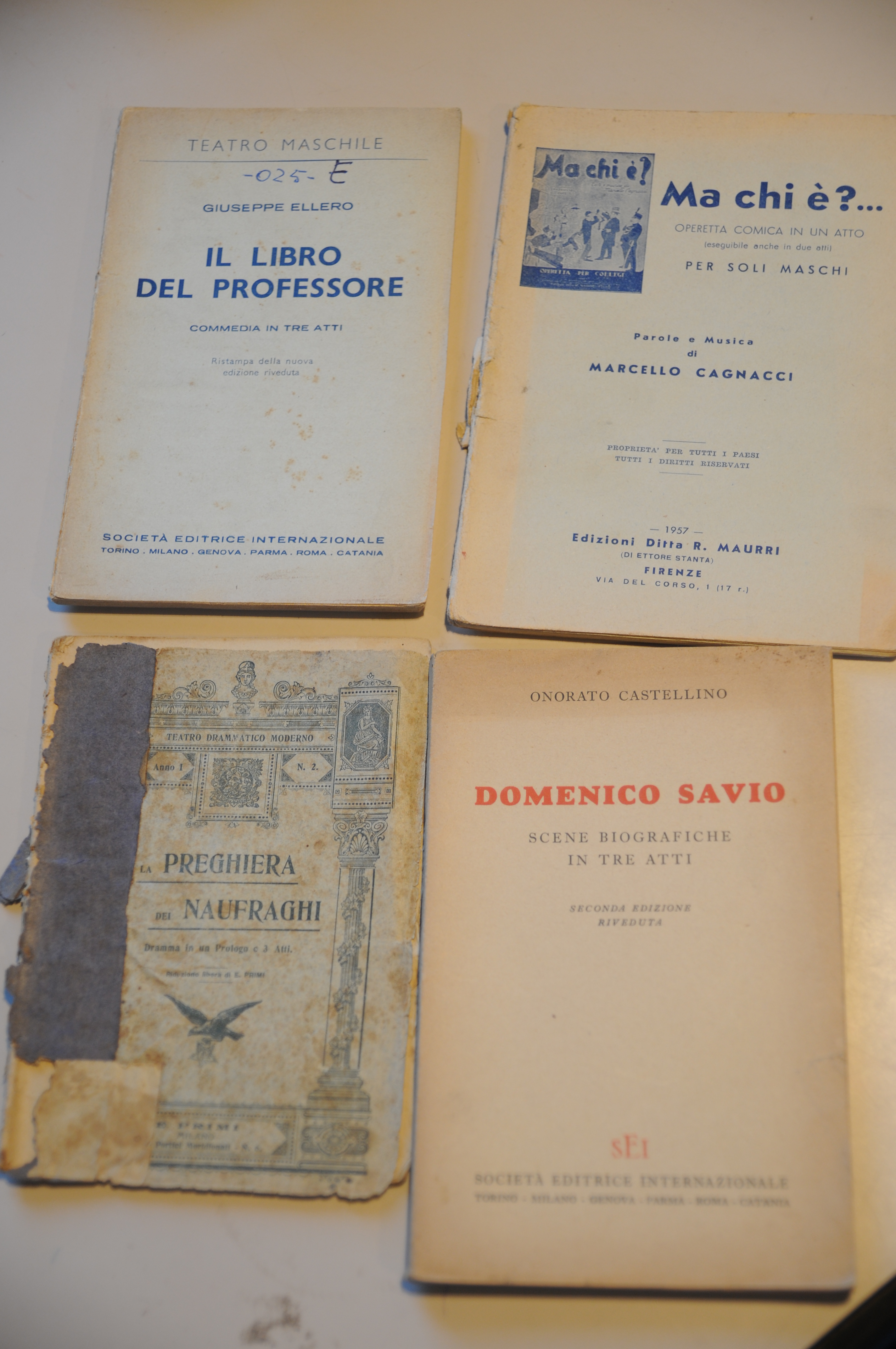 domenico savio ma chi è il libro del professore la …