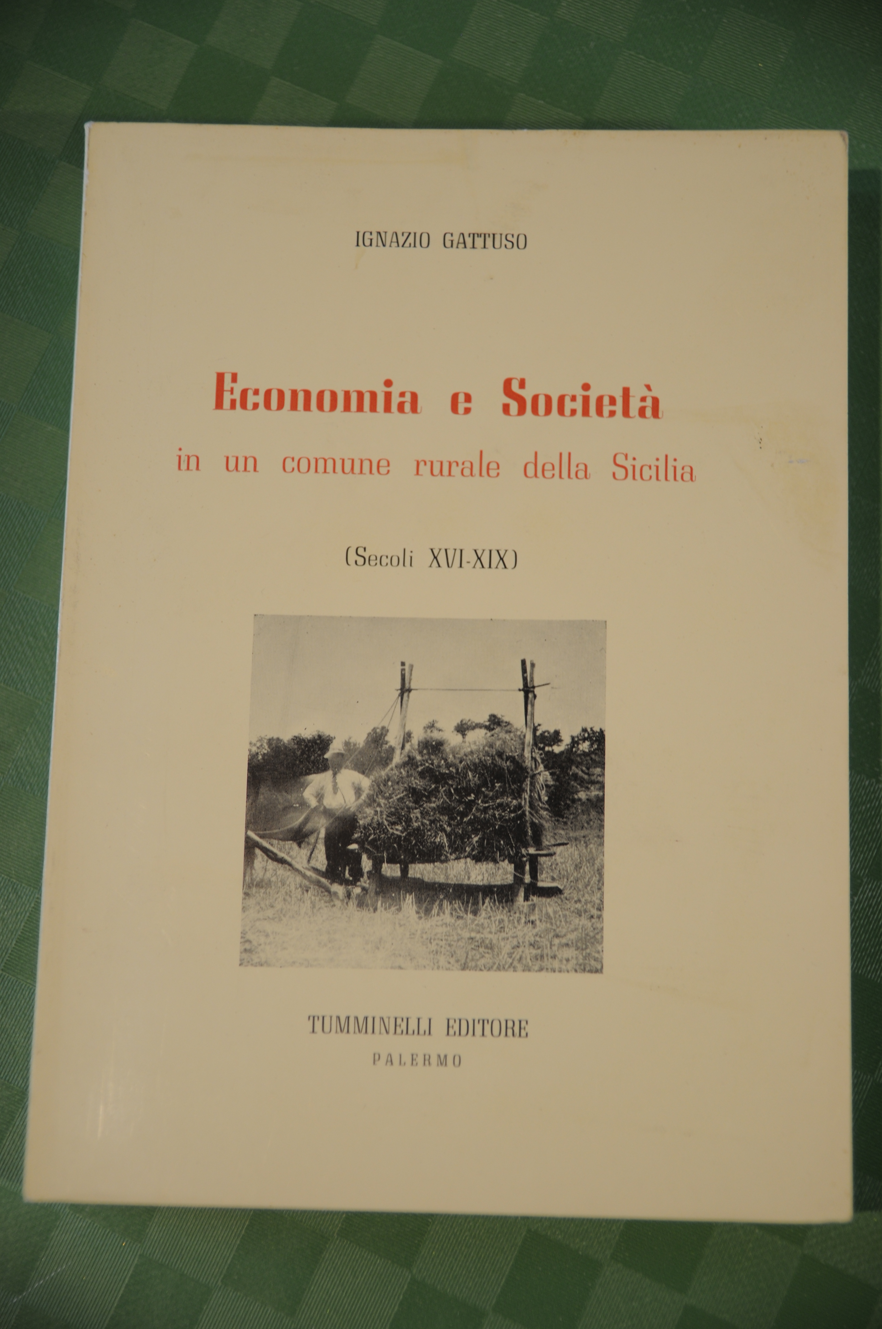 economia e società in un comune rurale della sicilia NUOVISSIMO