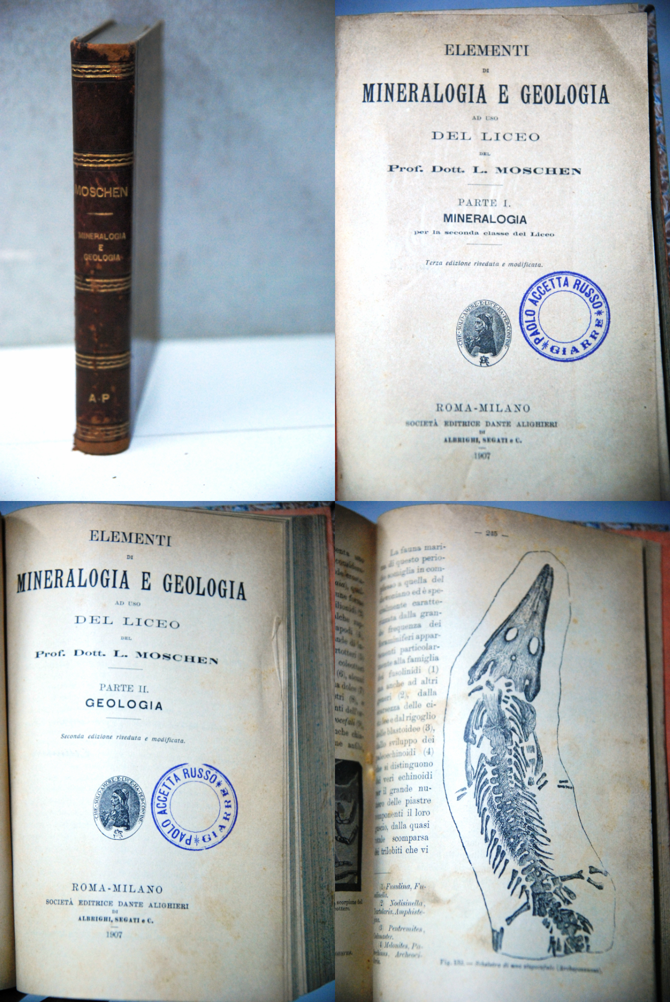elementi di mineralogia e geologia due parti in un unico …