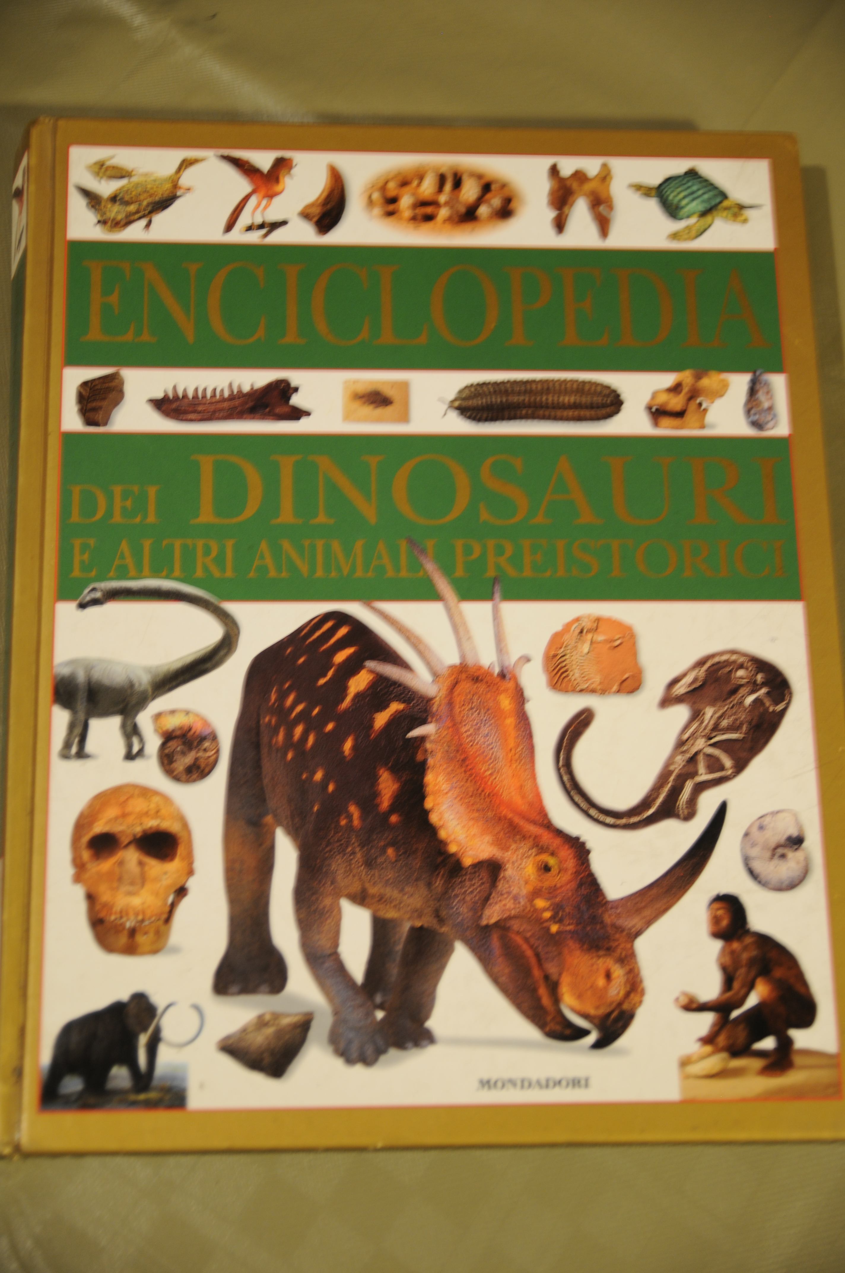 enciclopedia dei dinosauri e altri animali preistorici NUOVISSIMO
