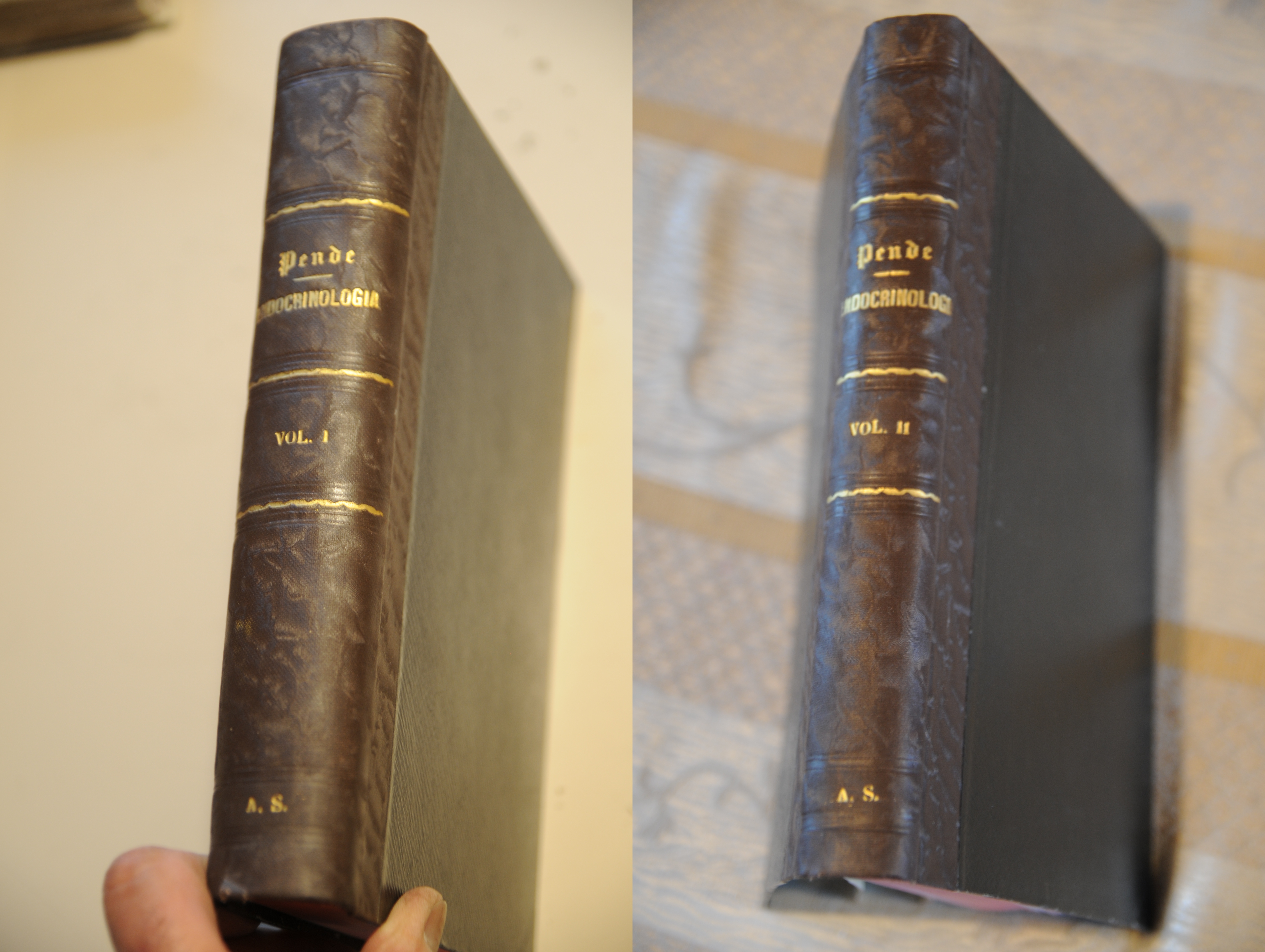 endocrinologia patologia e clinica 1934 vol. 1 e 2