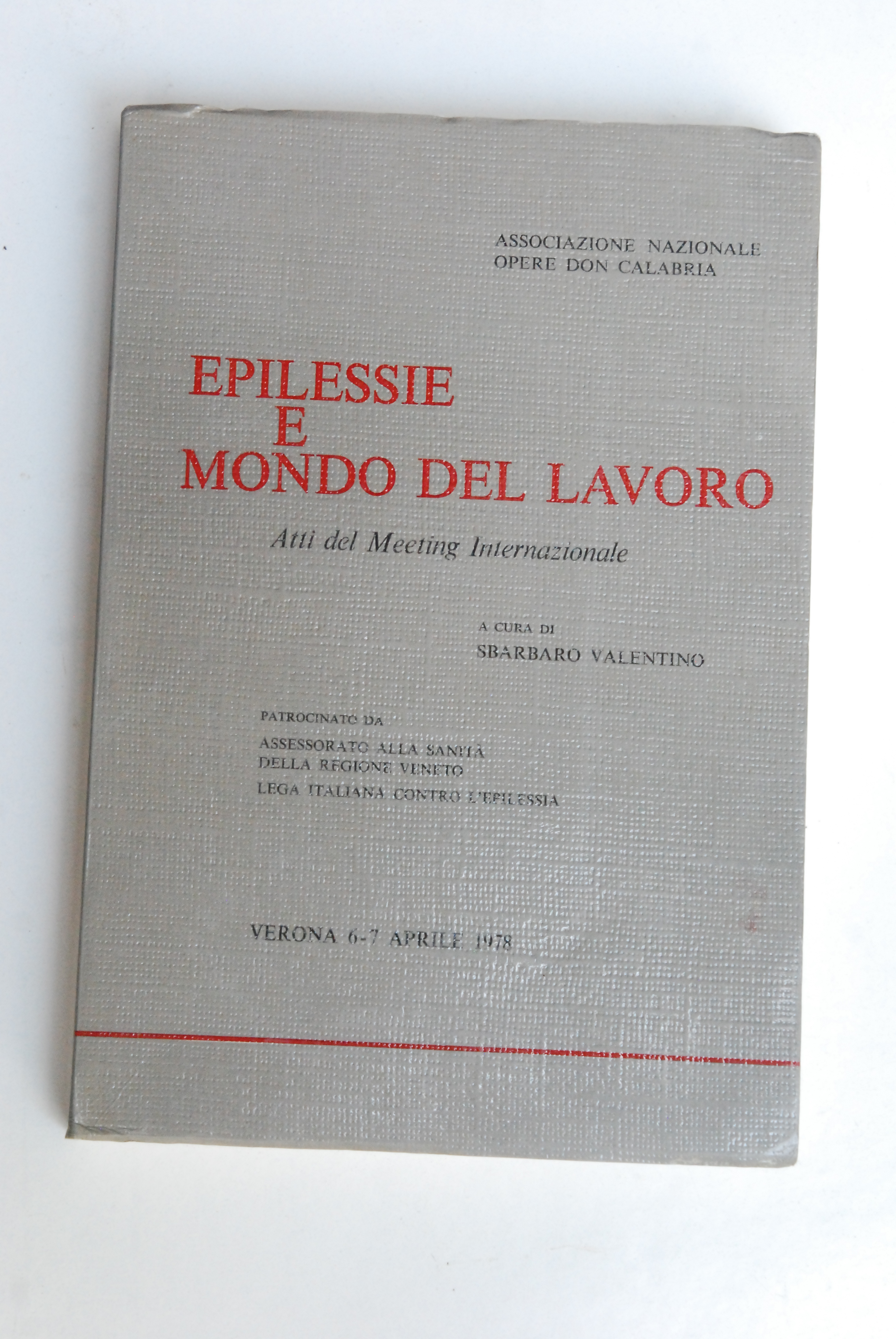 epilessie e mondo del lavoro atti del meeting internazionale