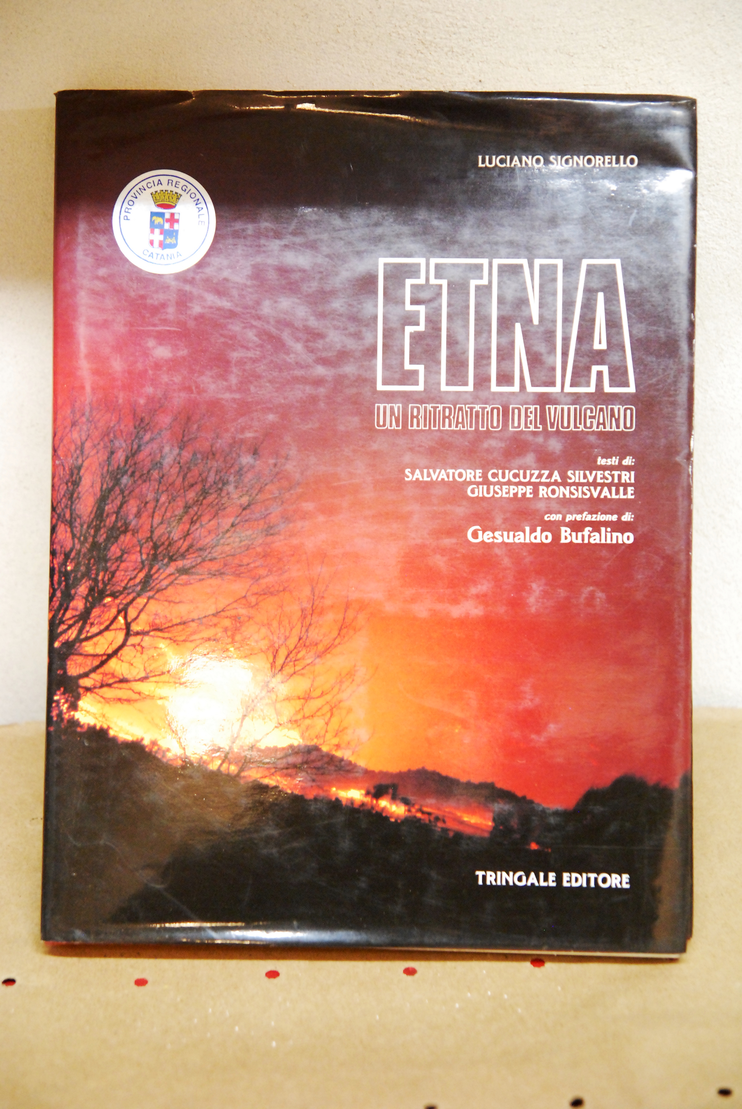 etna un ritratto del vulcano NUOVO