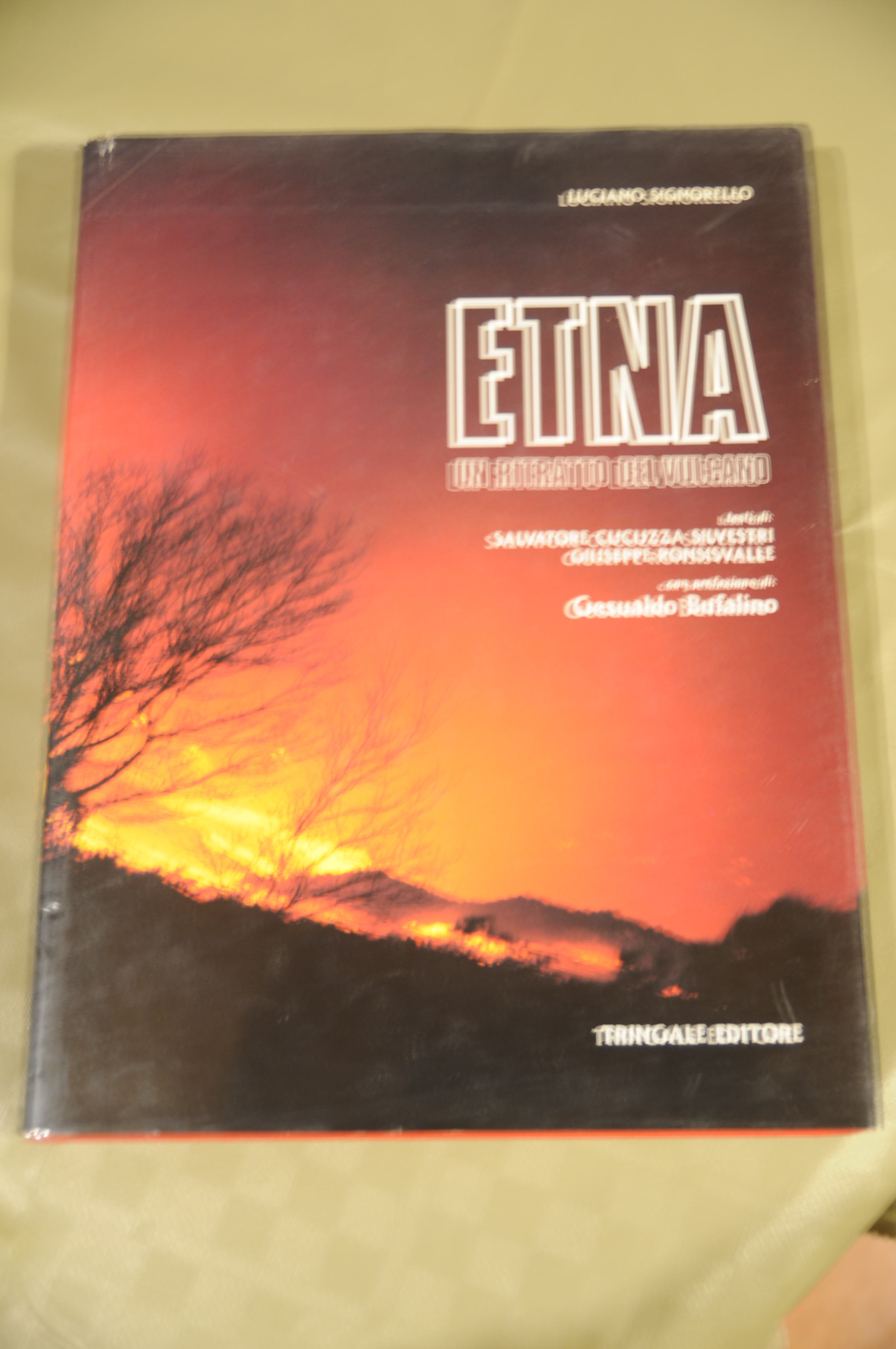 ETNA un ritratto del vulcano NUOVO