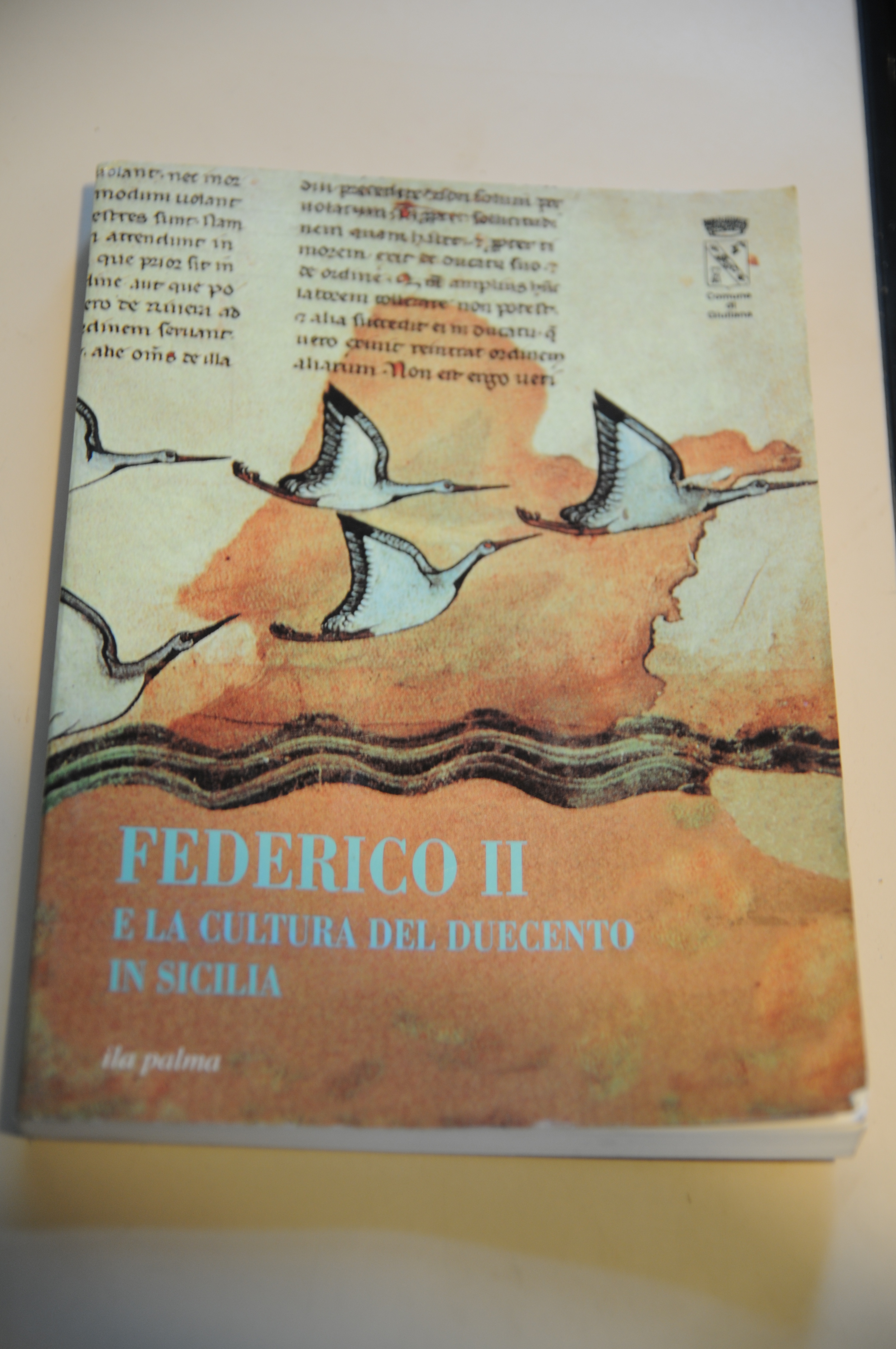 federico II e la cultura del duecento in sicilia NUOVISSIMO