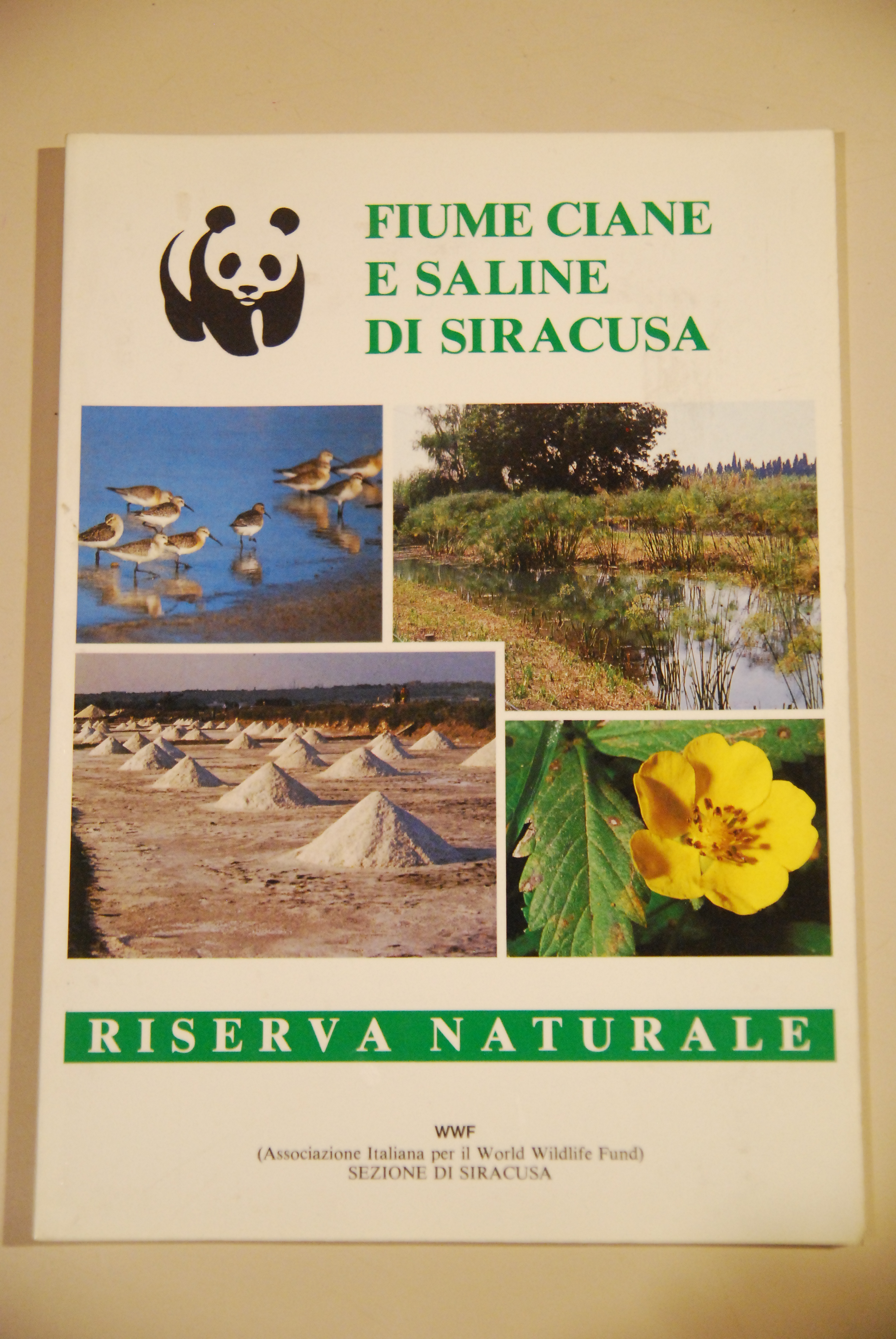 fiume ciane e saline di siracusa