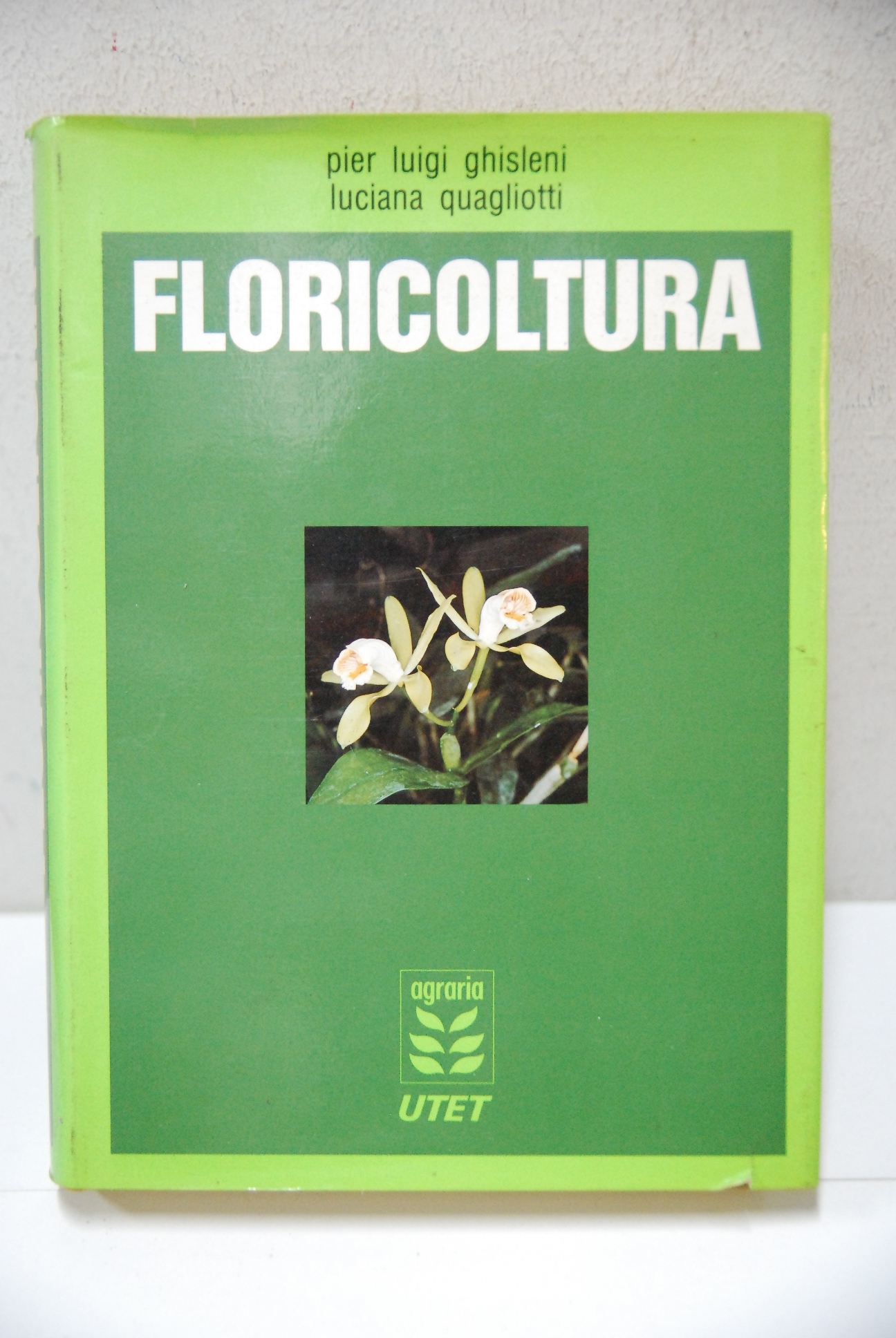 Floricoltura