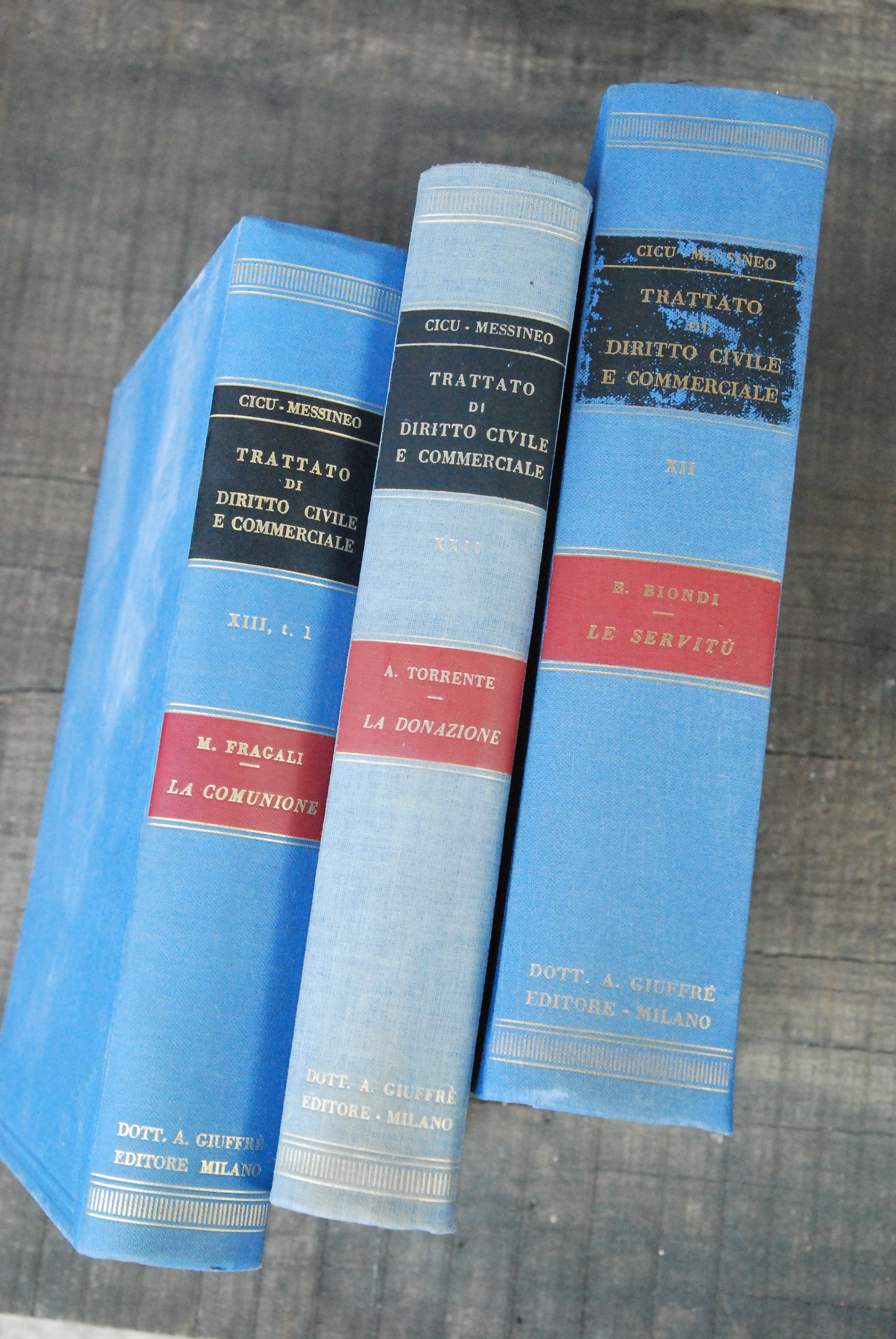 fragali la comunione torrente la donazione biondi le servitù