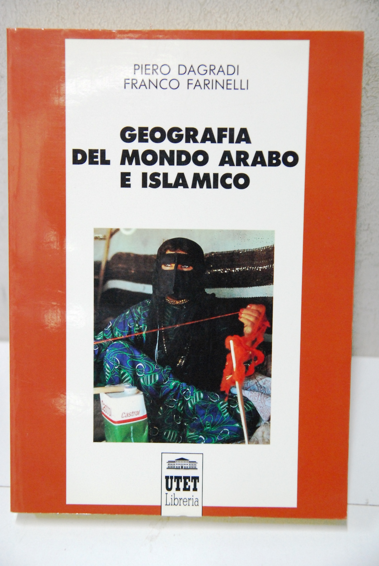 geografia del mondo arabo e islamico NUOVO