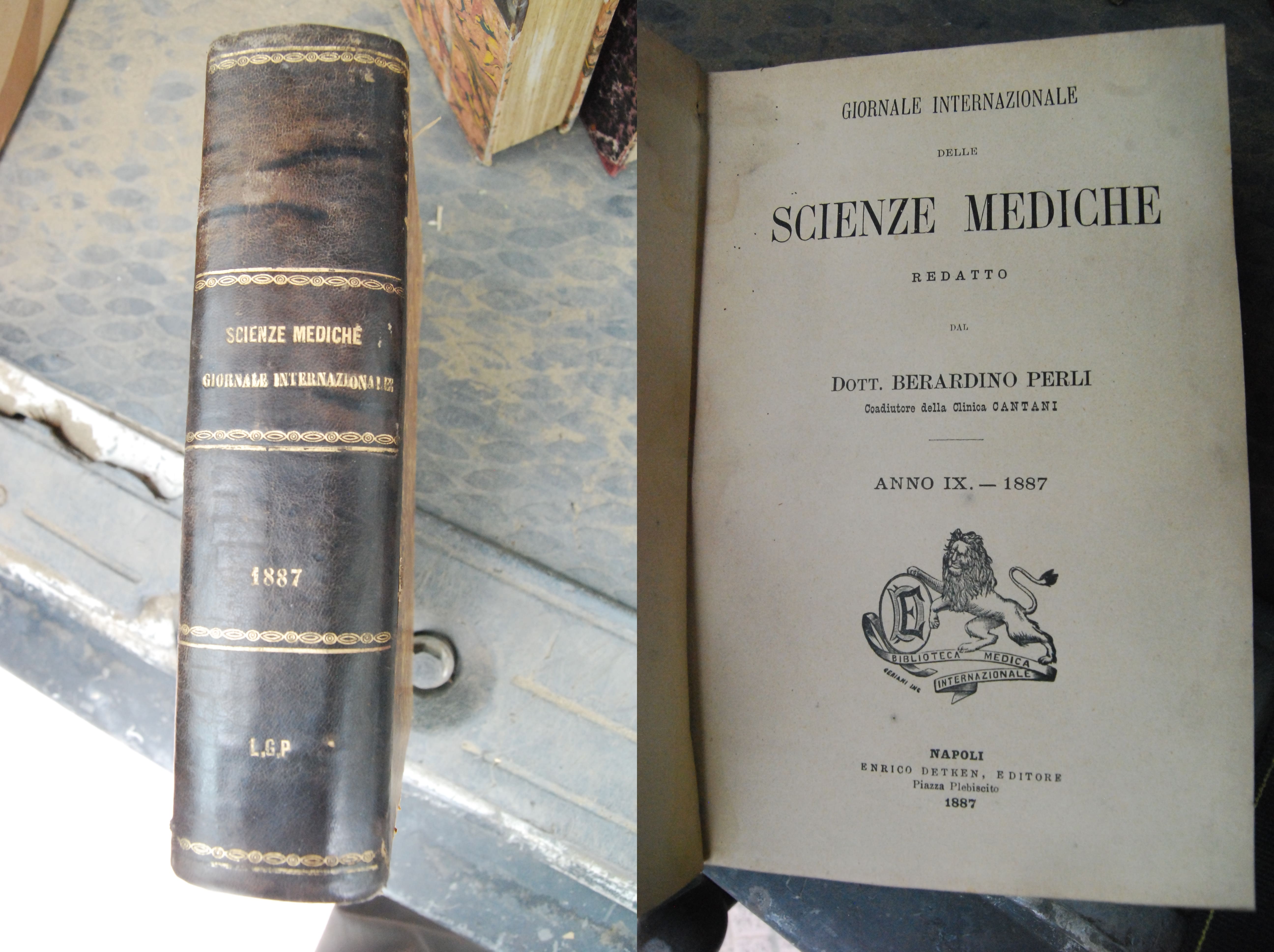 giornale internazionale delle scienze mediche anno ix