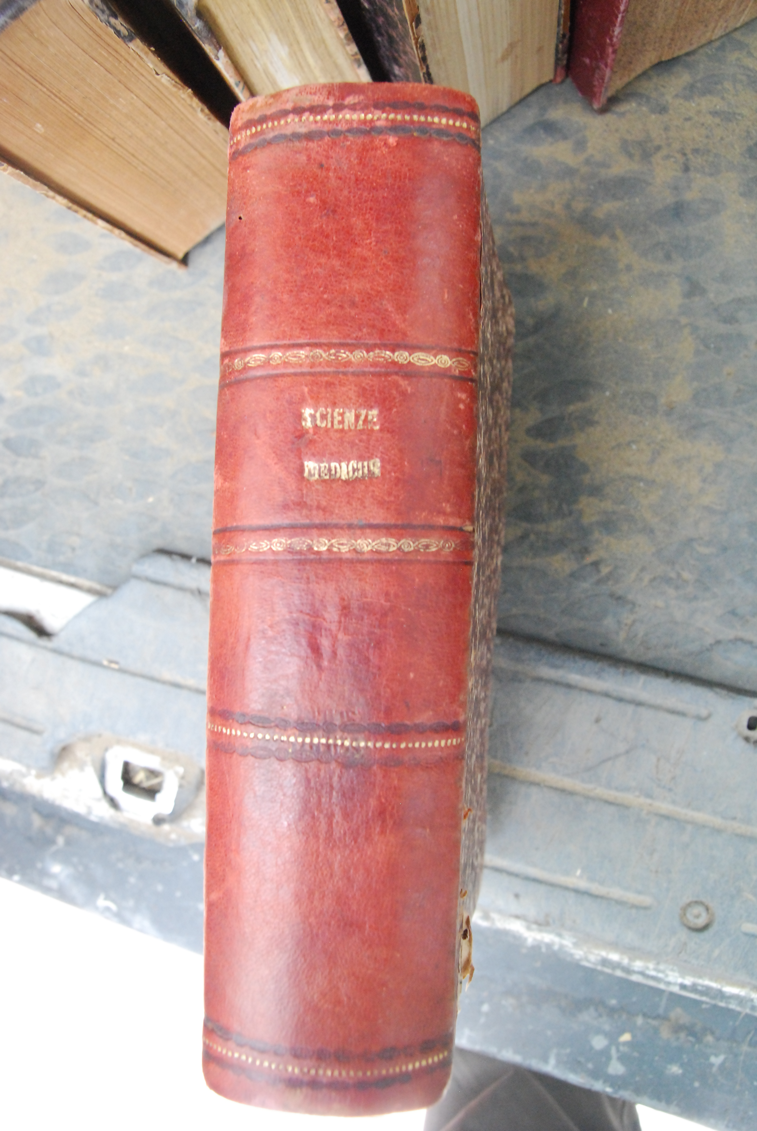 giornale internazionale delle scienze mediche anno xix