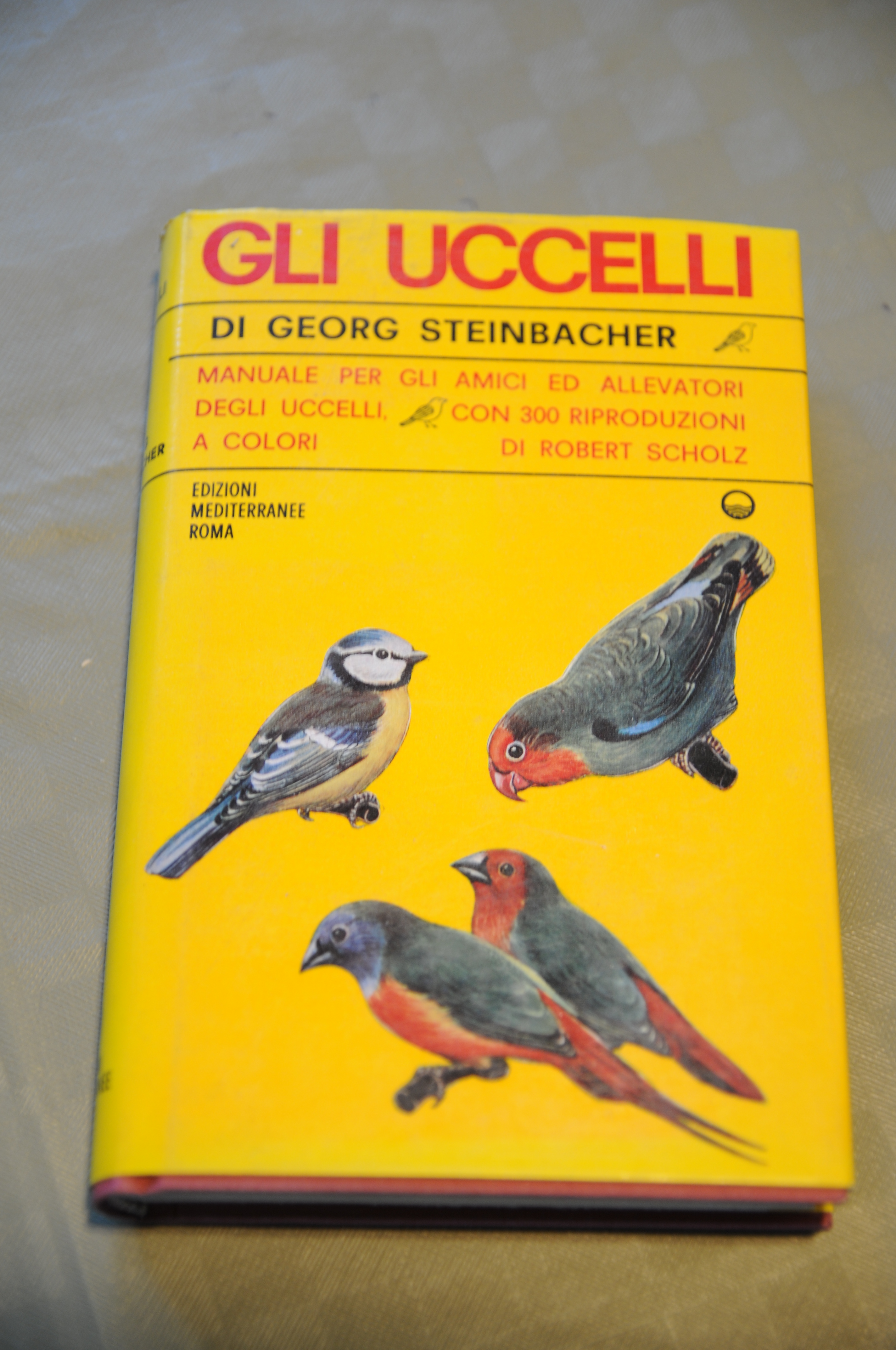gli uccelli NUOVO