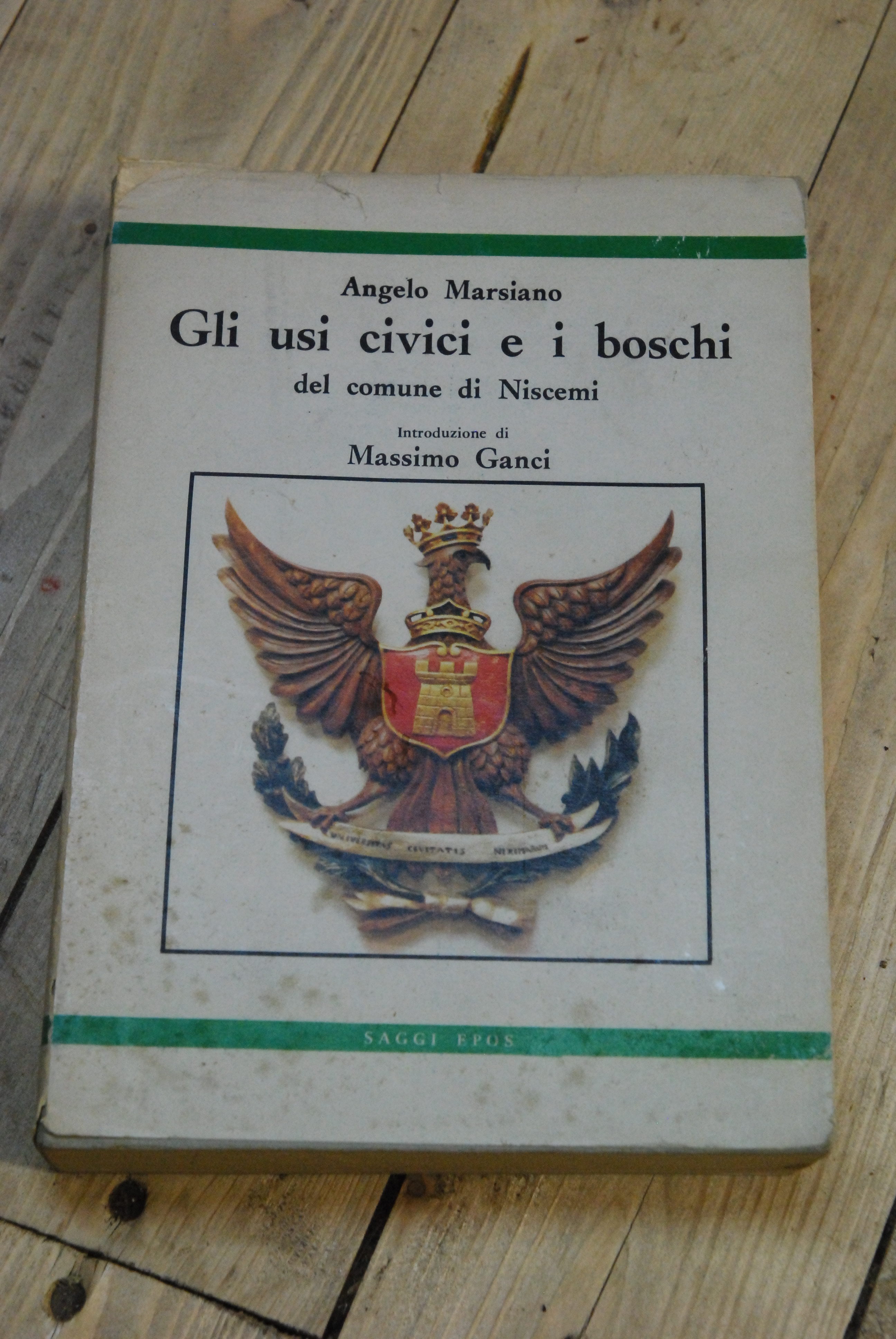 gli usi civici e i boschi del comune di niscemi