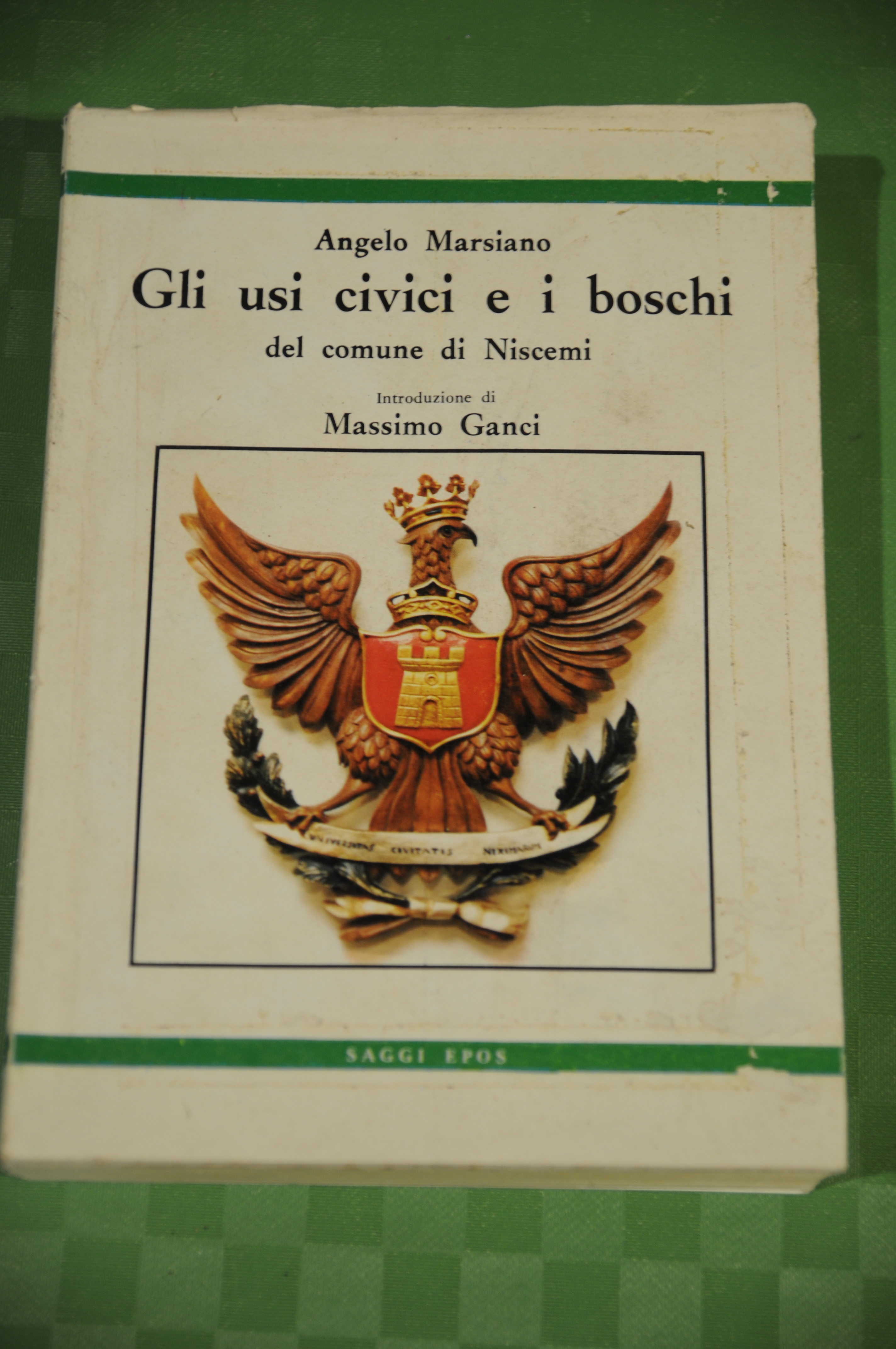 gli usi civici e i boschi del comune di niscemi …