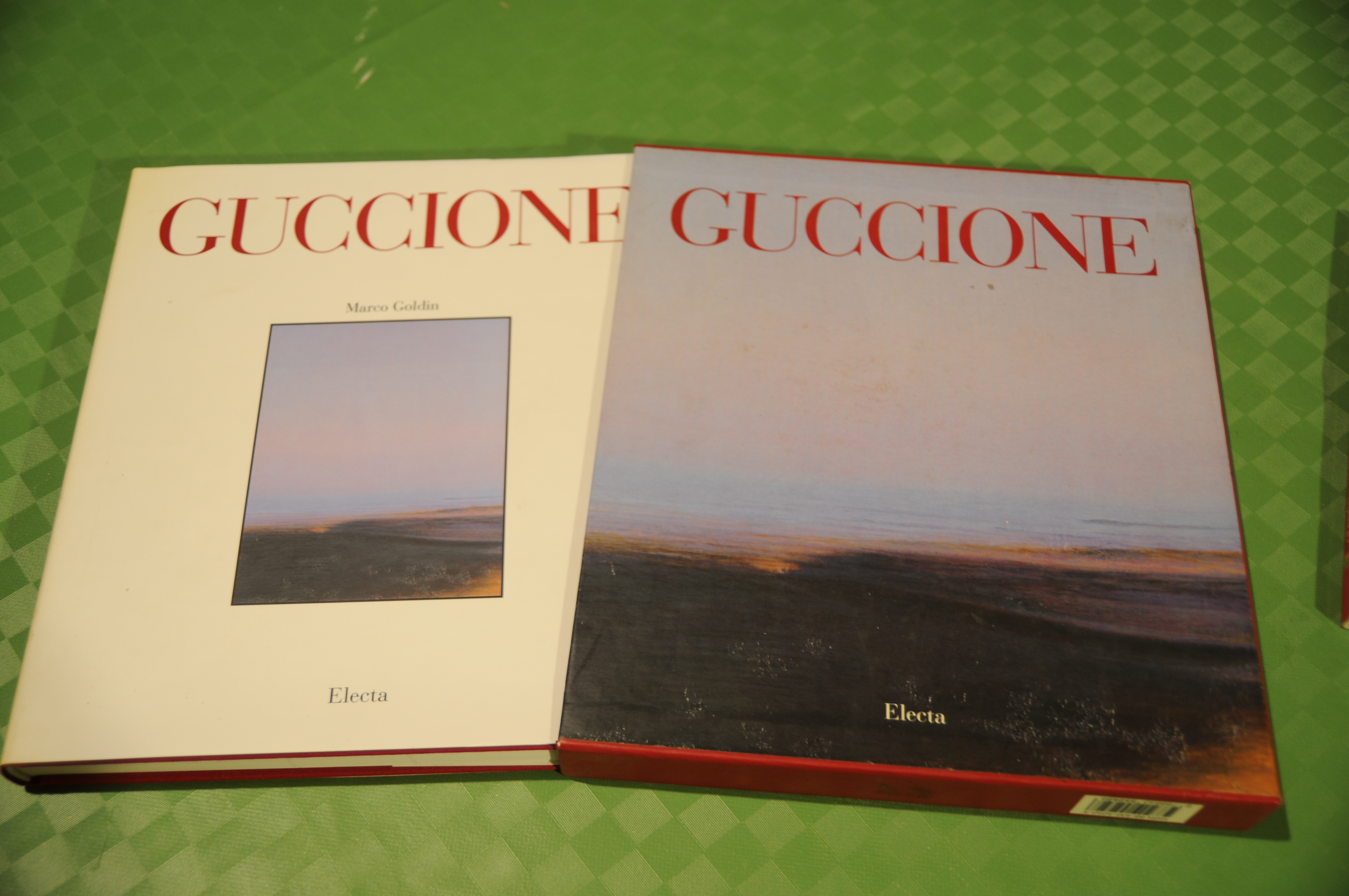guccione NUOVISSIMO