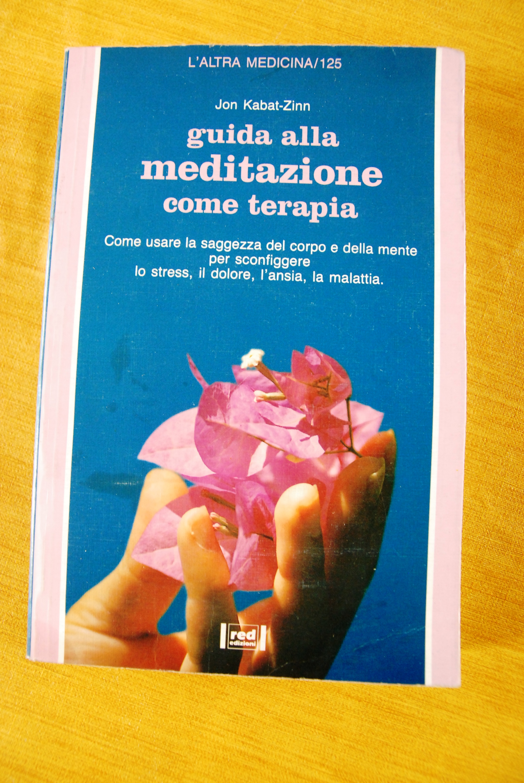 guida alla meditazione come terapia