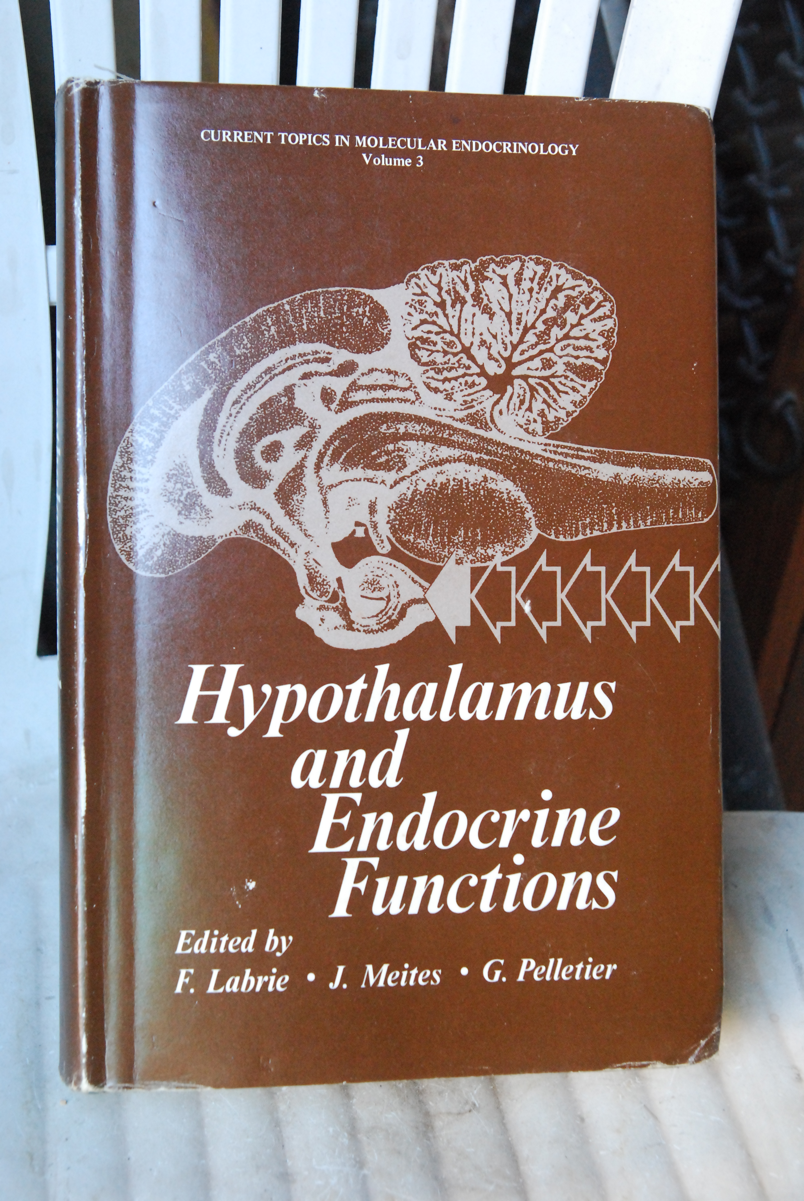 hypothalamus and endocrine functions molecular endocrinology