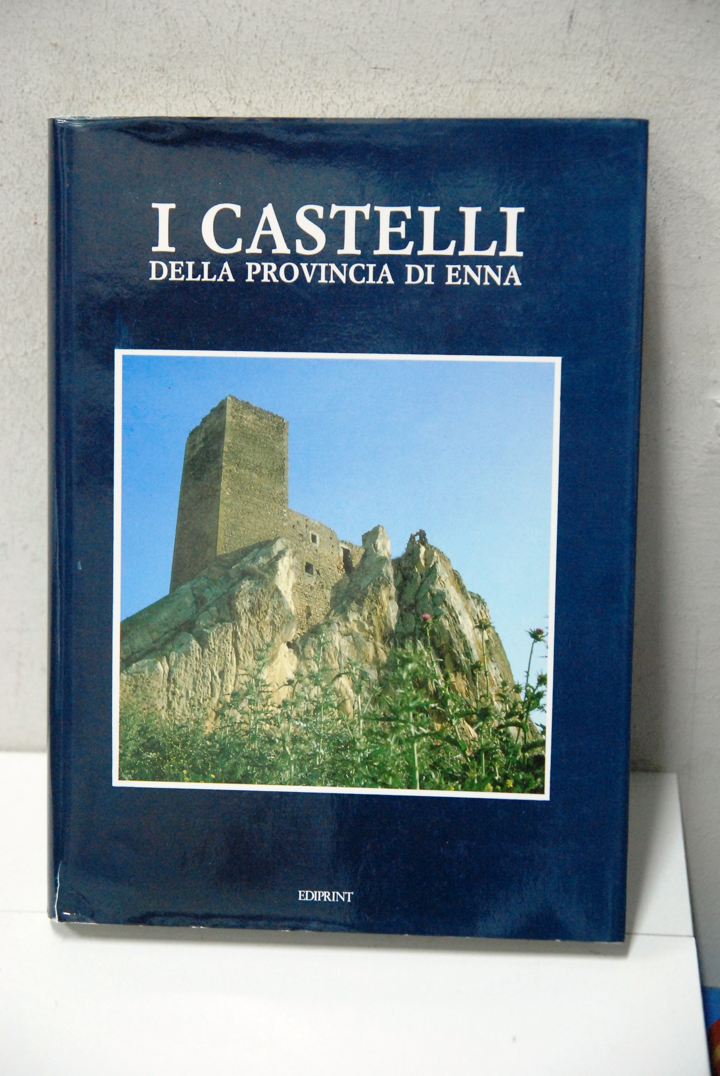 I CASTELLI DELLA PROVINCIA DI ENNA nuovo