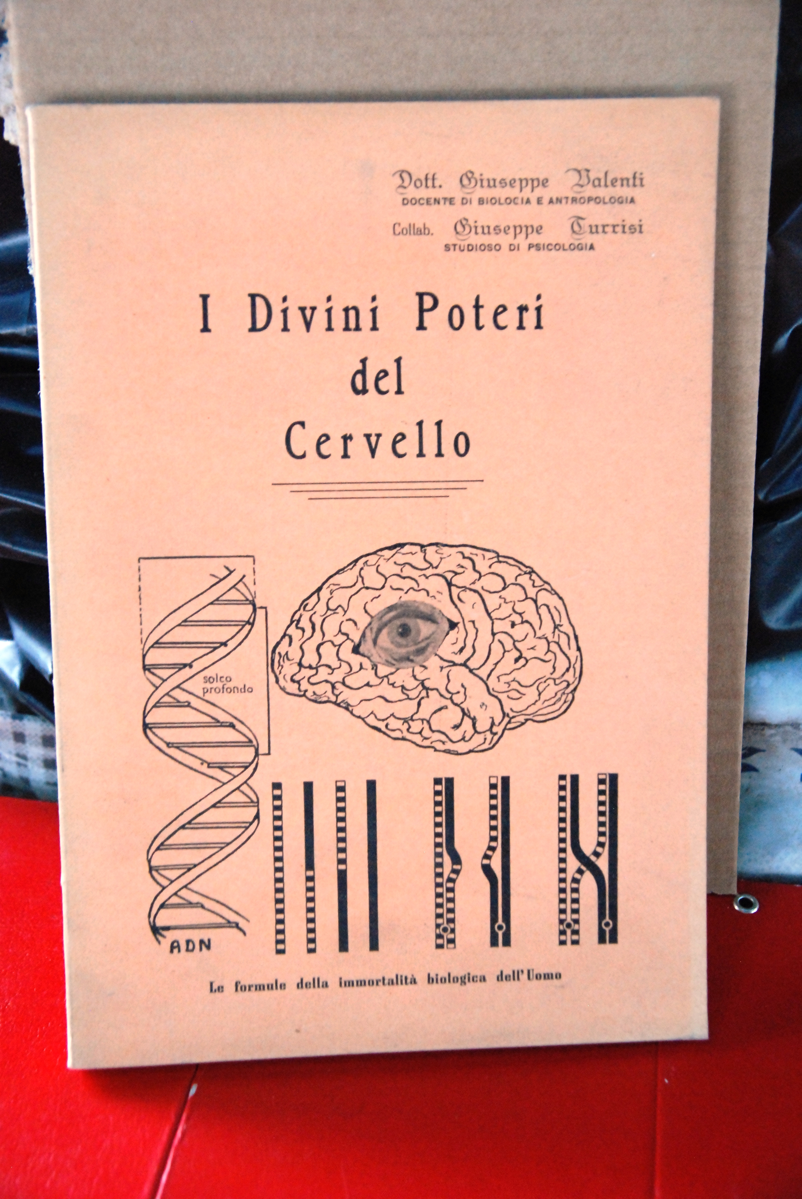 i divini poteri del cervello autografato con dedica NUOVO