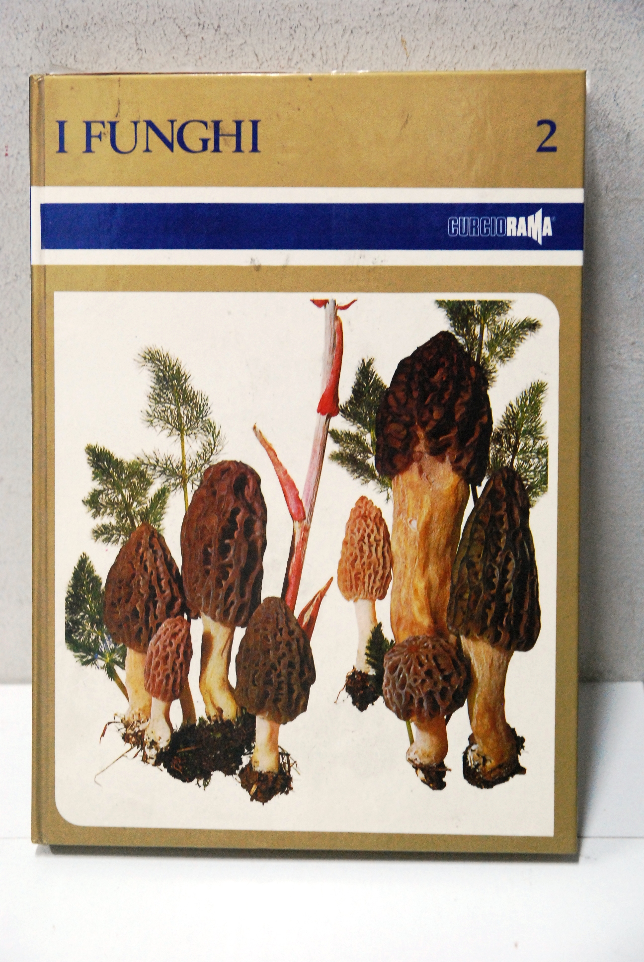 i funghi (solo il vol. 2 ) NUOVO