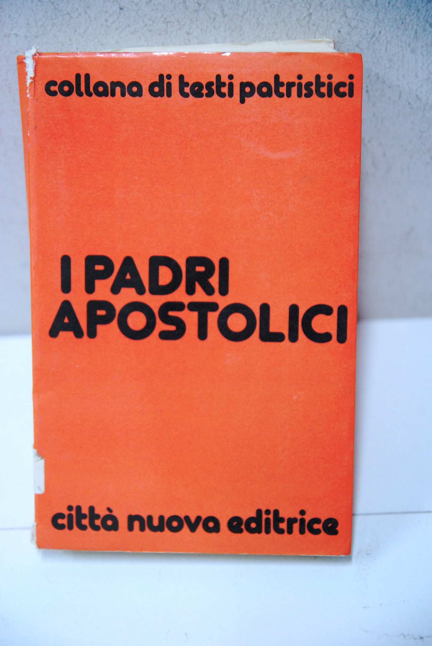 i padri apostolici NUOVO