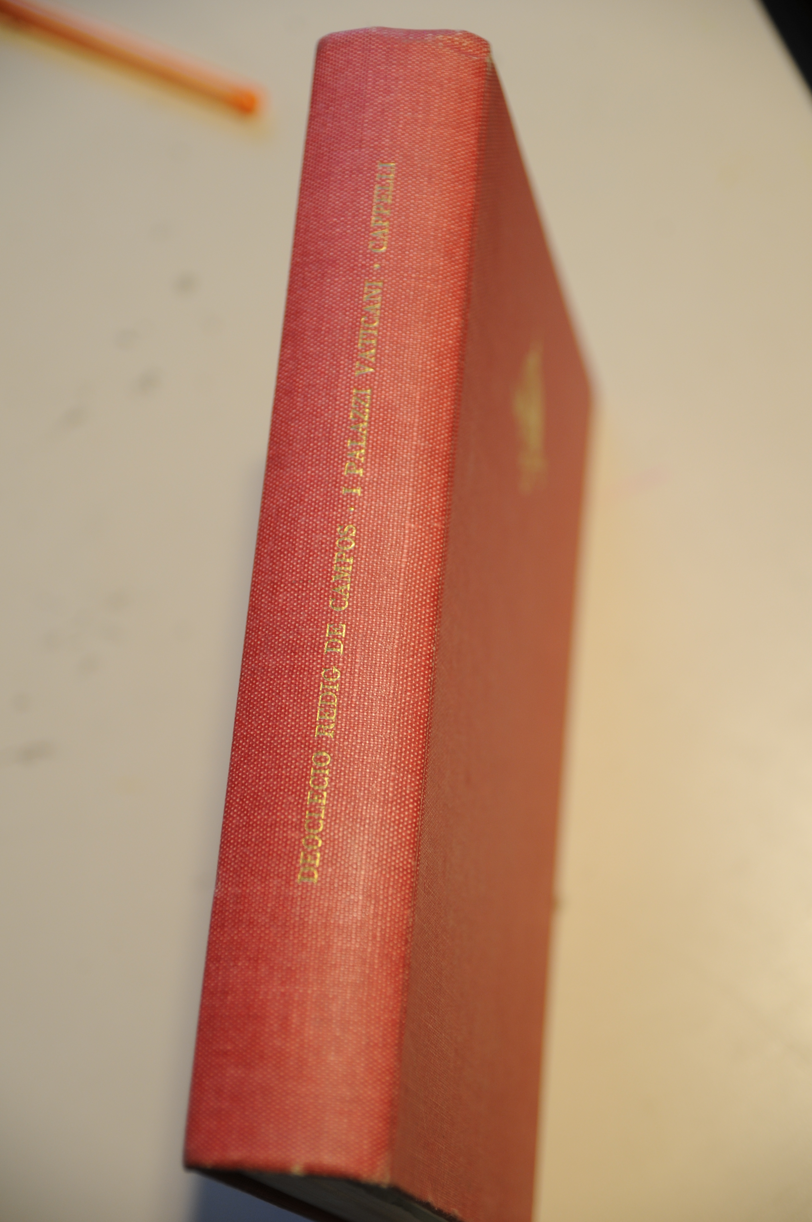 i palazzi vaticani NUOVISSIMO