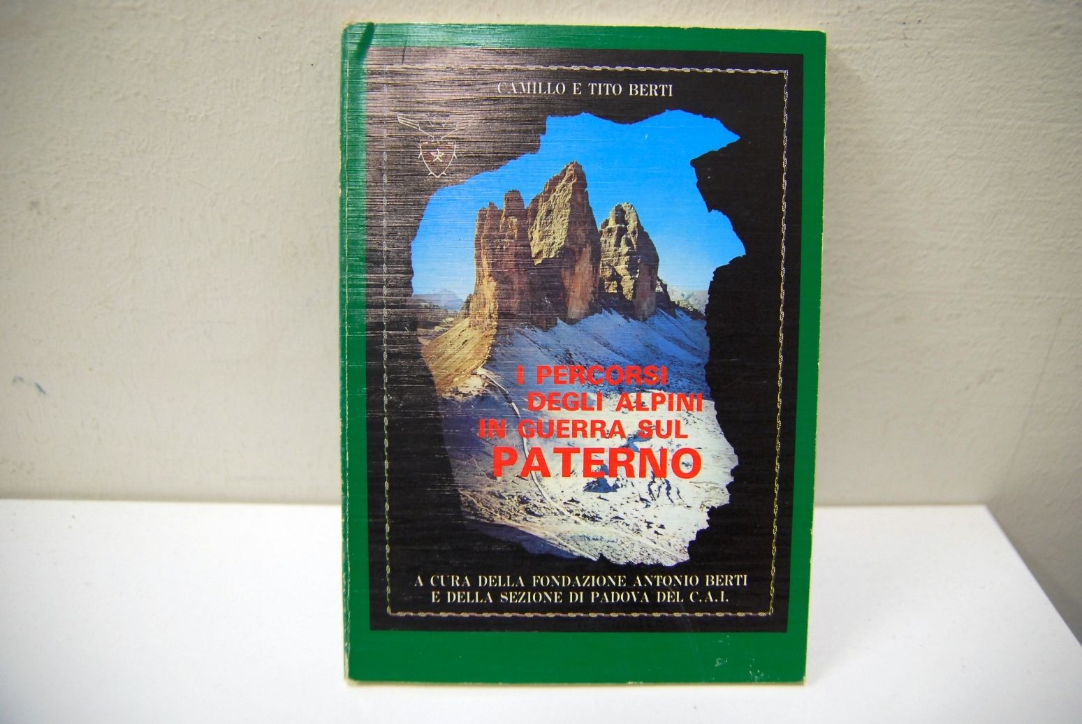 I Percorsi degli alpini in guerra sul paterno