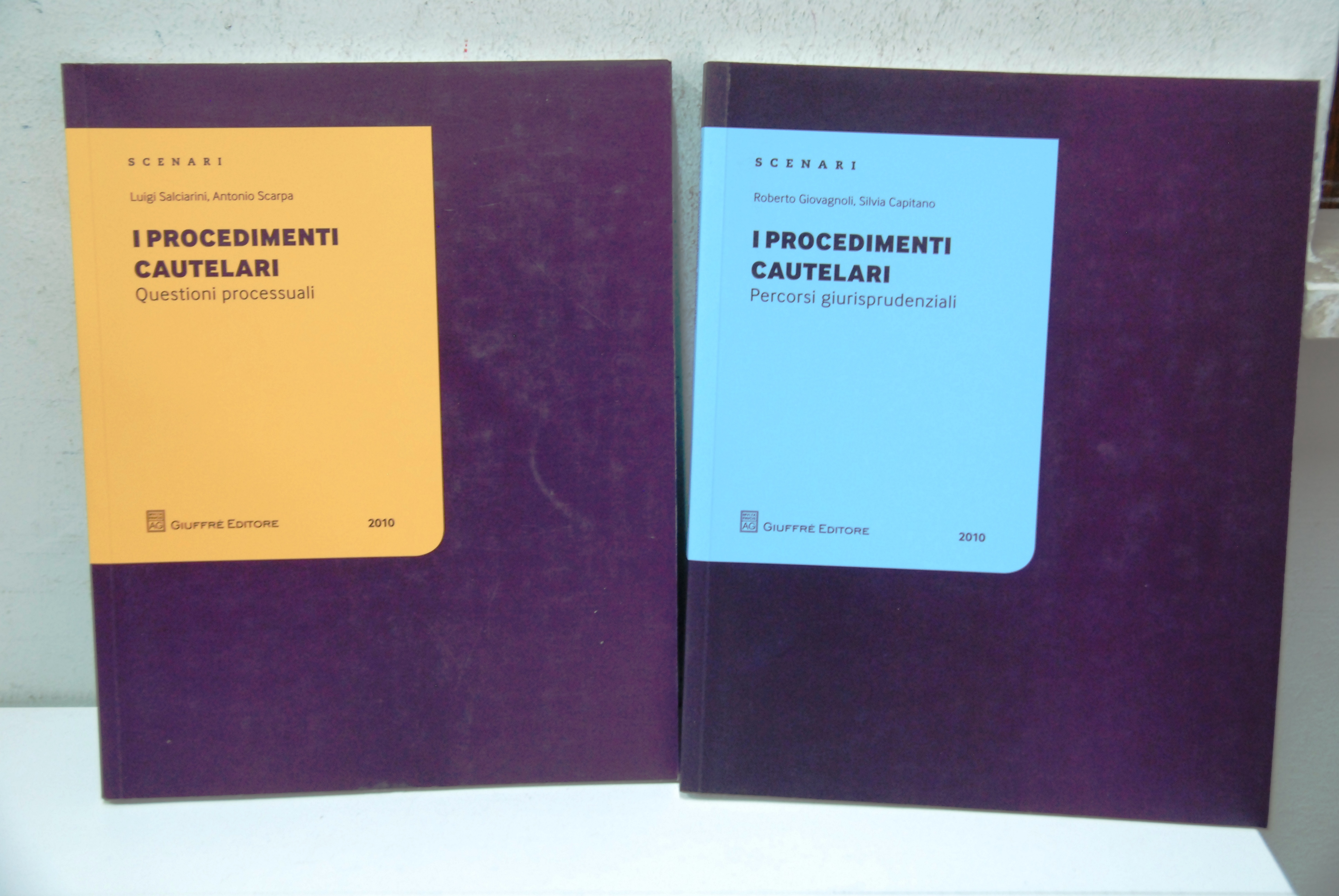 I procedimenti cautelari e processuali + (Giovagnoli) i procedimenti cautelari …