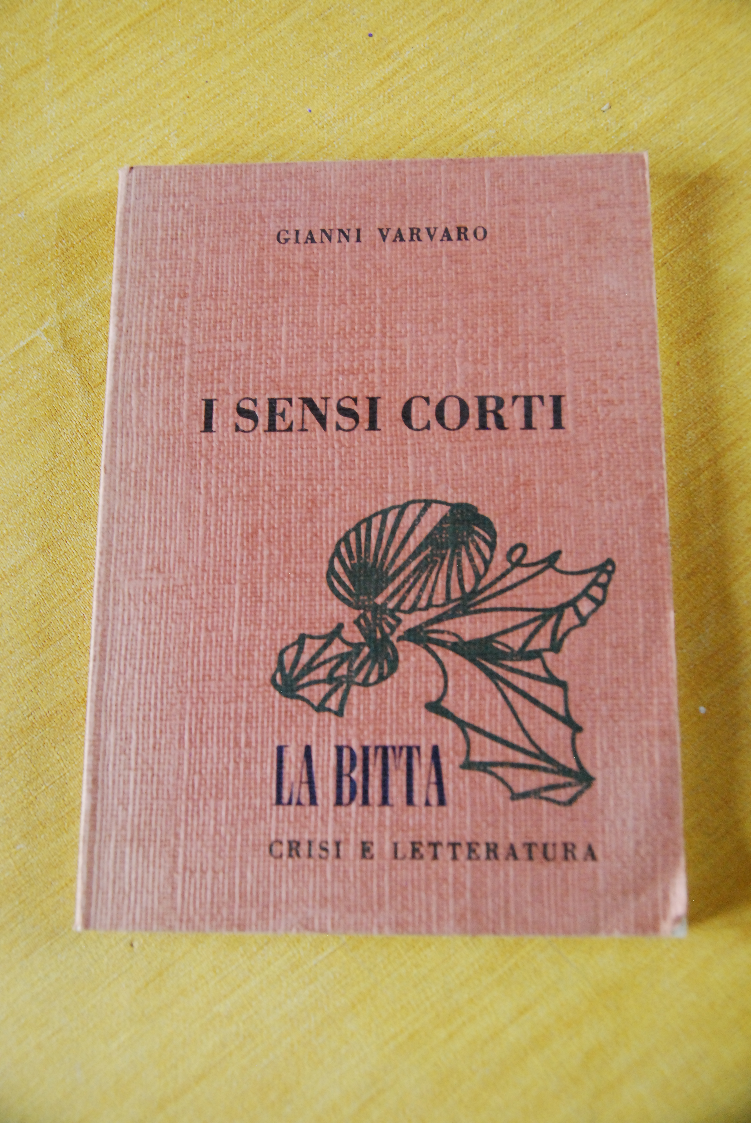 i sensi corti autografato dall'autore con dedica NUOVO