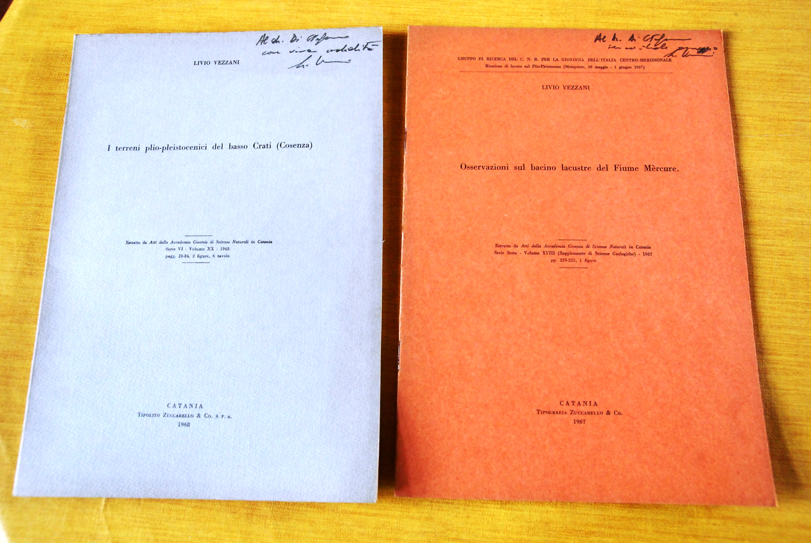 i terreni plio pleistocenici del basso crati Cosenza (con mappe) …