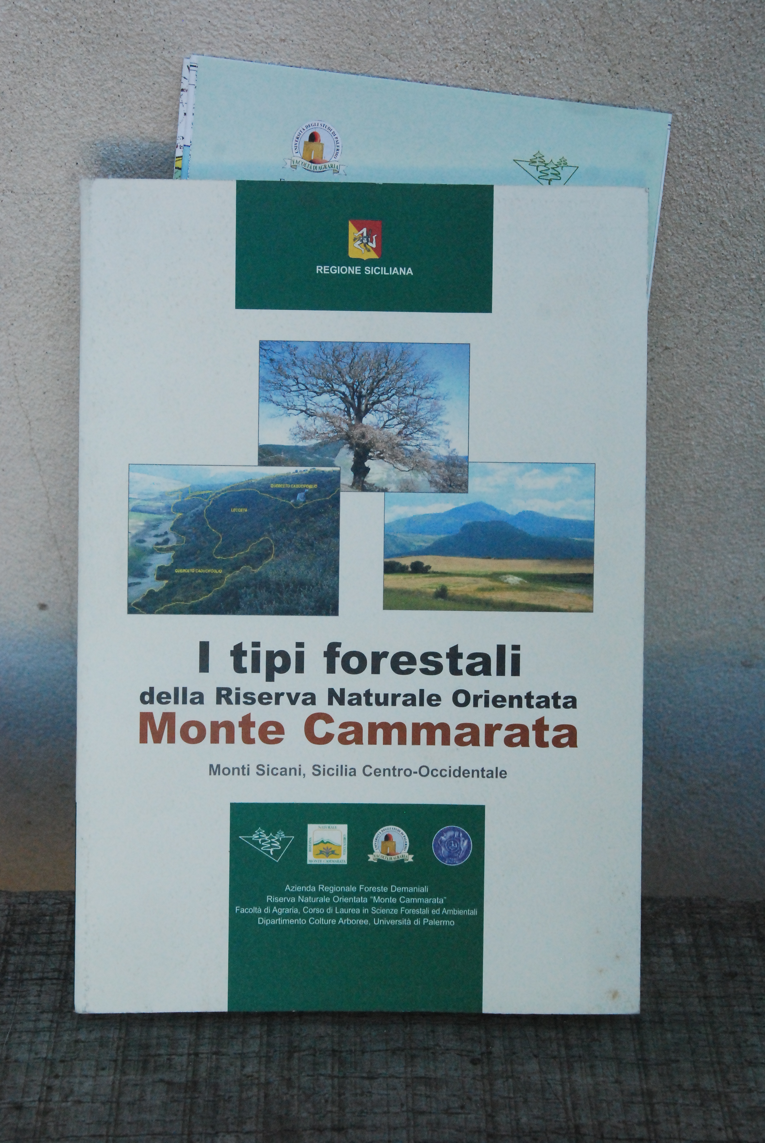 i tipi forestali della riserva naturale orientata monte cammarata monti …