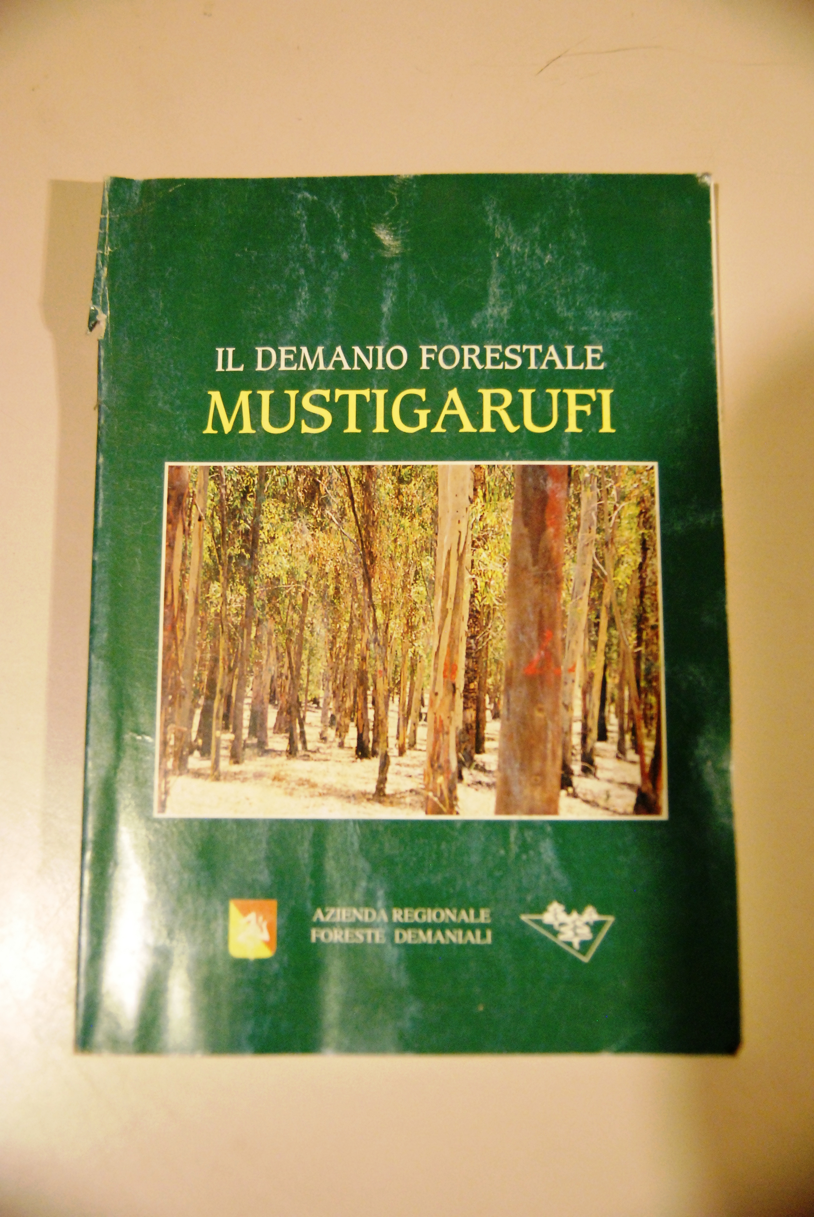 il demanio forestale mustigarufi foreste demaniali