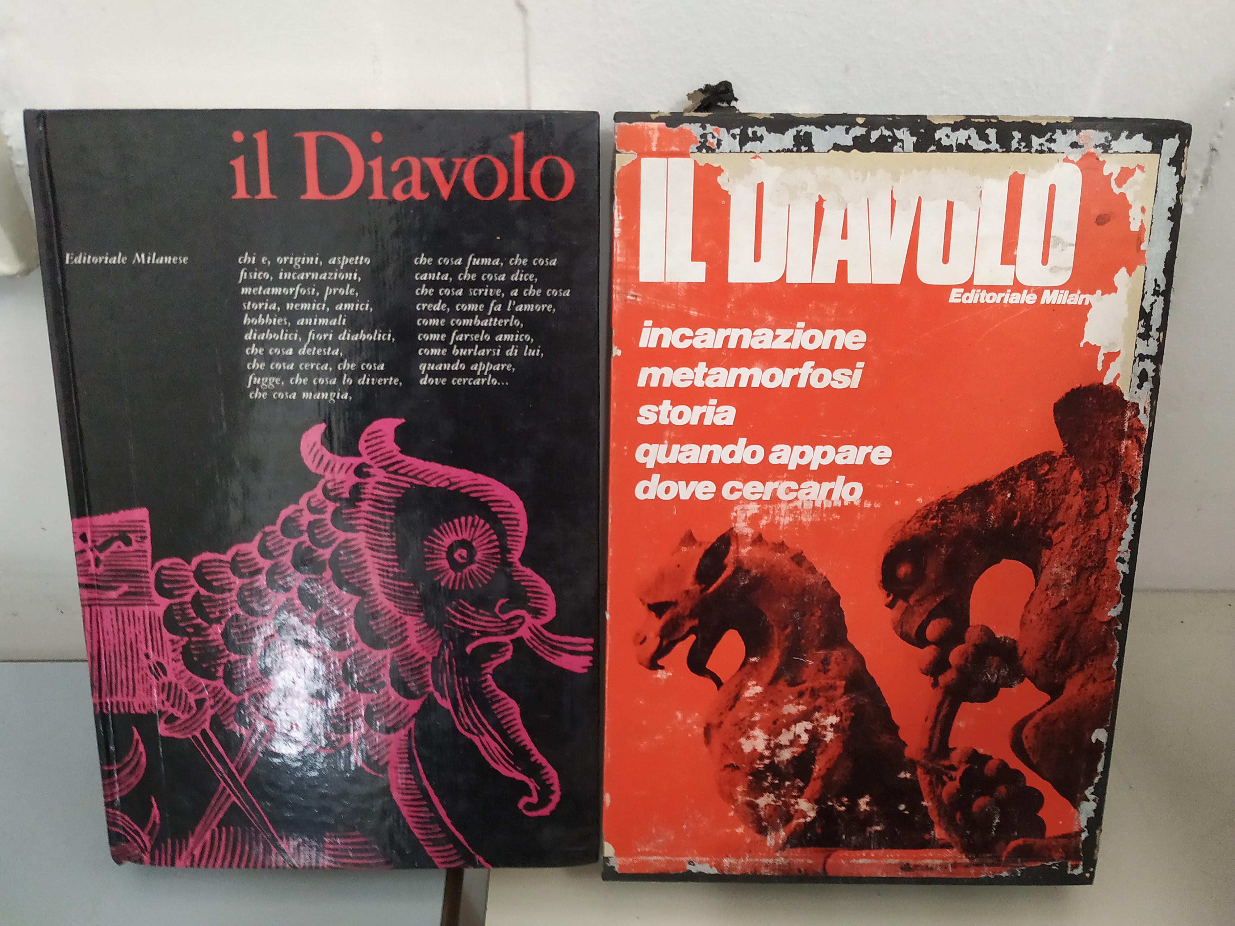 il diavolo incarnazione metamorfosi storia quando appare dove cercarlo